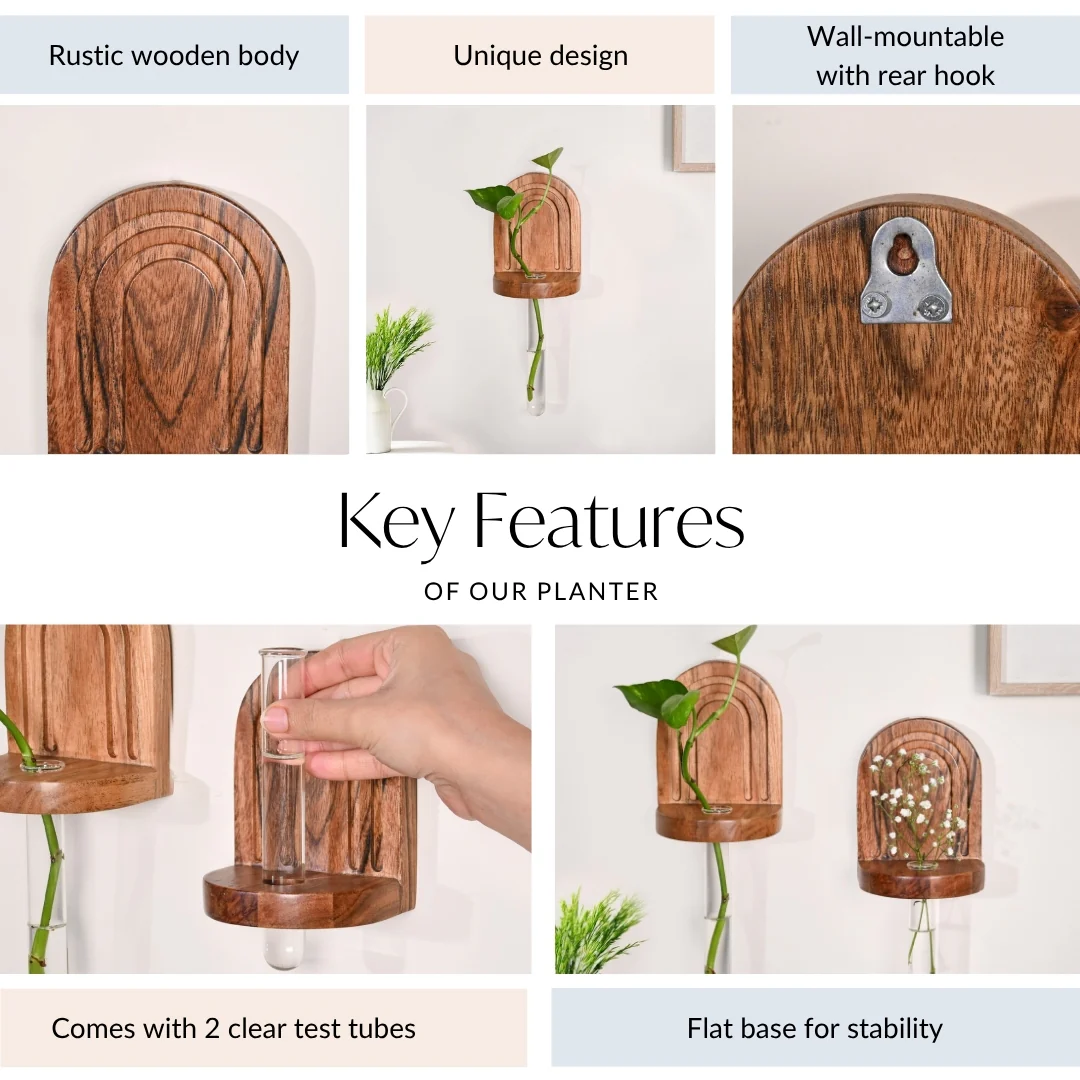 Acacia Wall Mounted Test Tube Planter Set Of 2 - Image 4