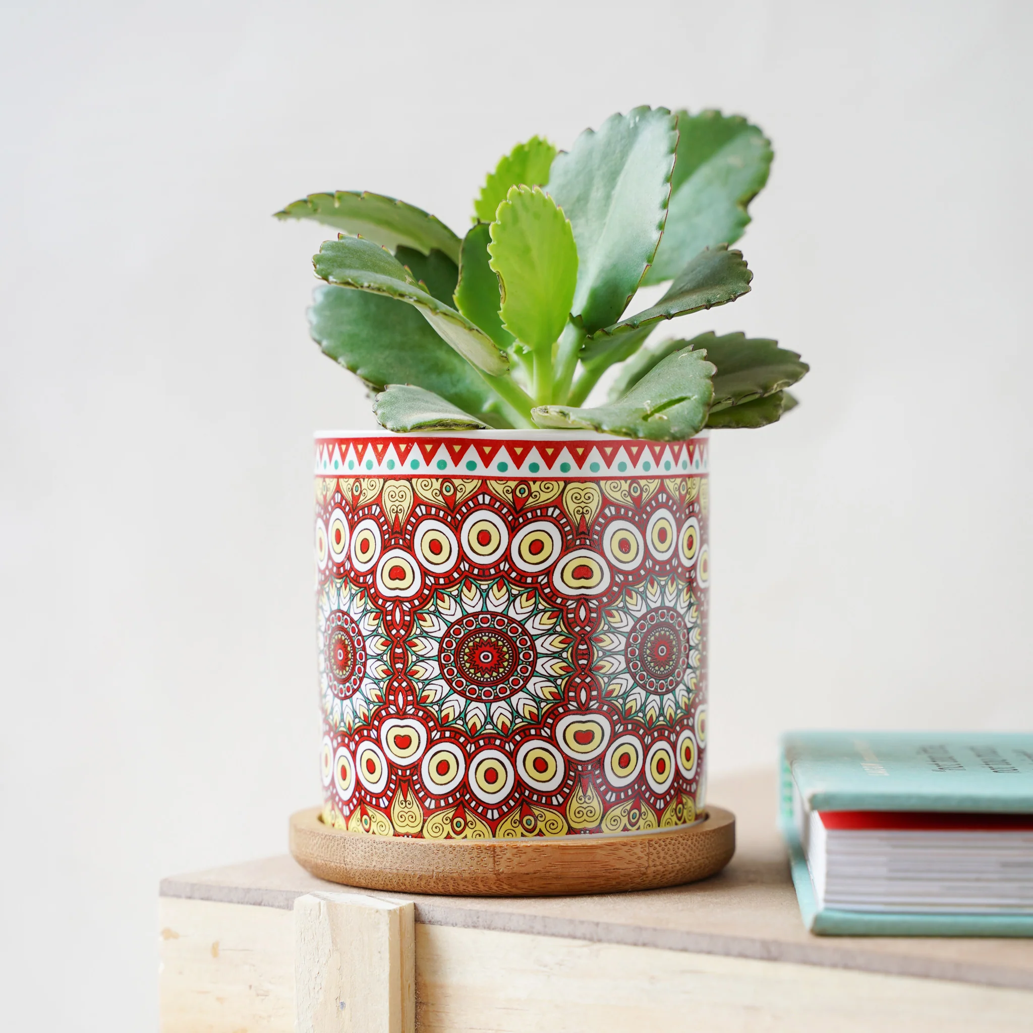 Artful Garden Ceramic Planter With Coaster Set Of 4 - Image 17