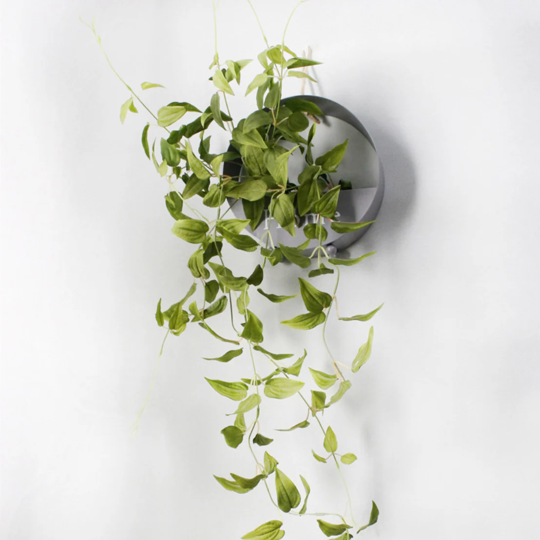 Artificial Vine - Image 5