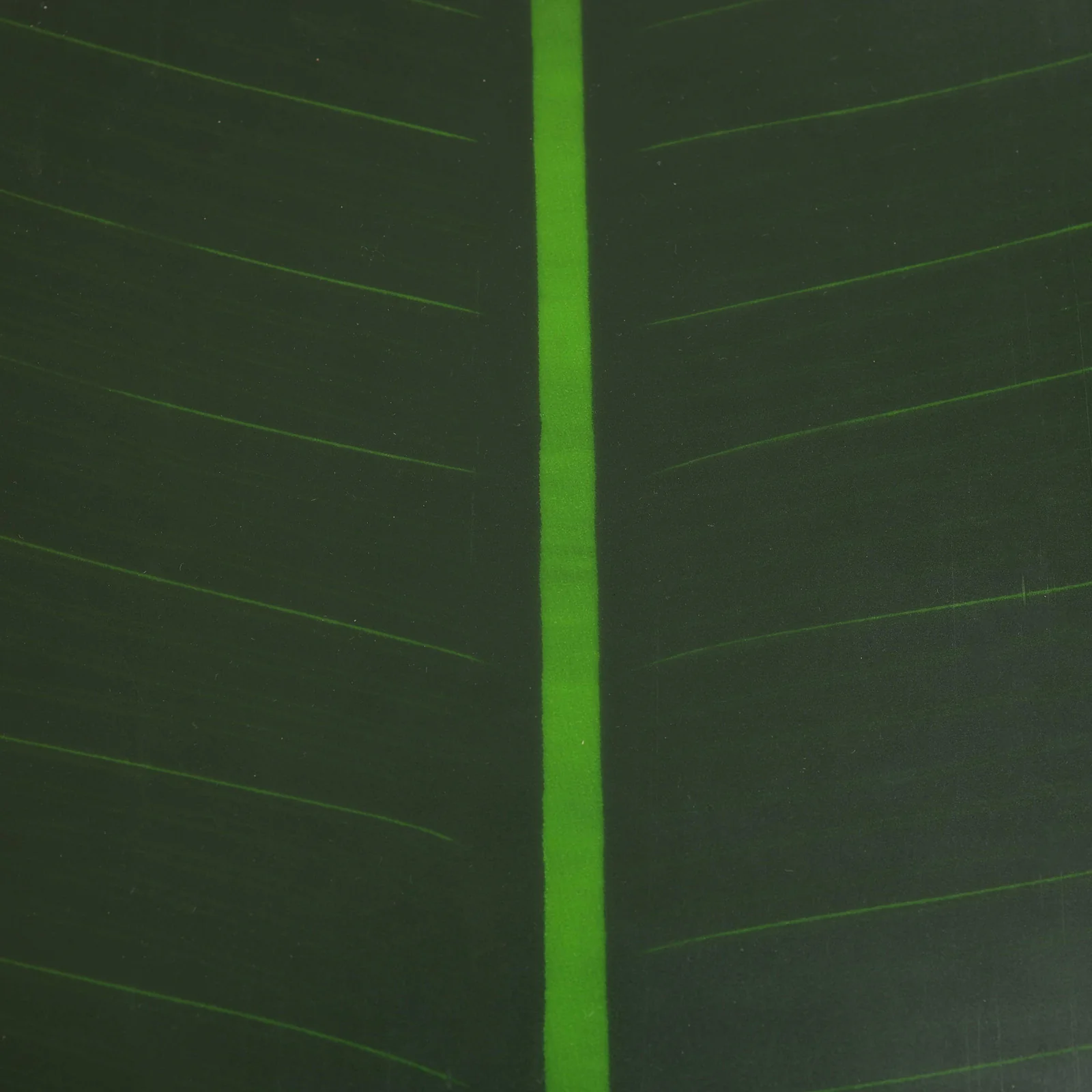 Banana Leaf Table Runner - Image 7