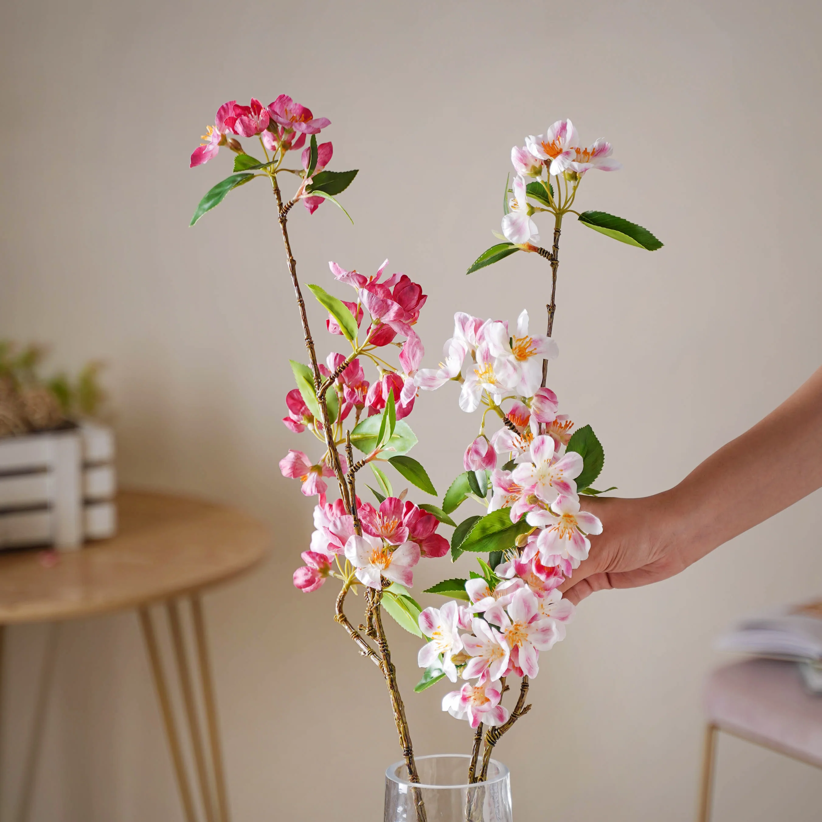 Begonia Flower - Image 3
