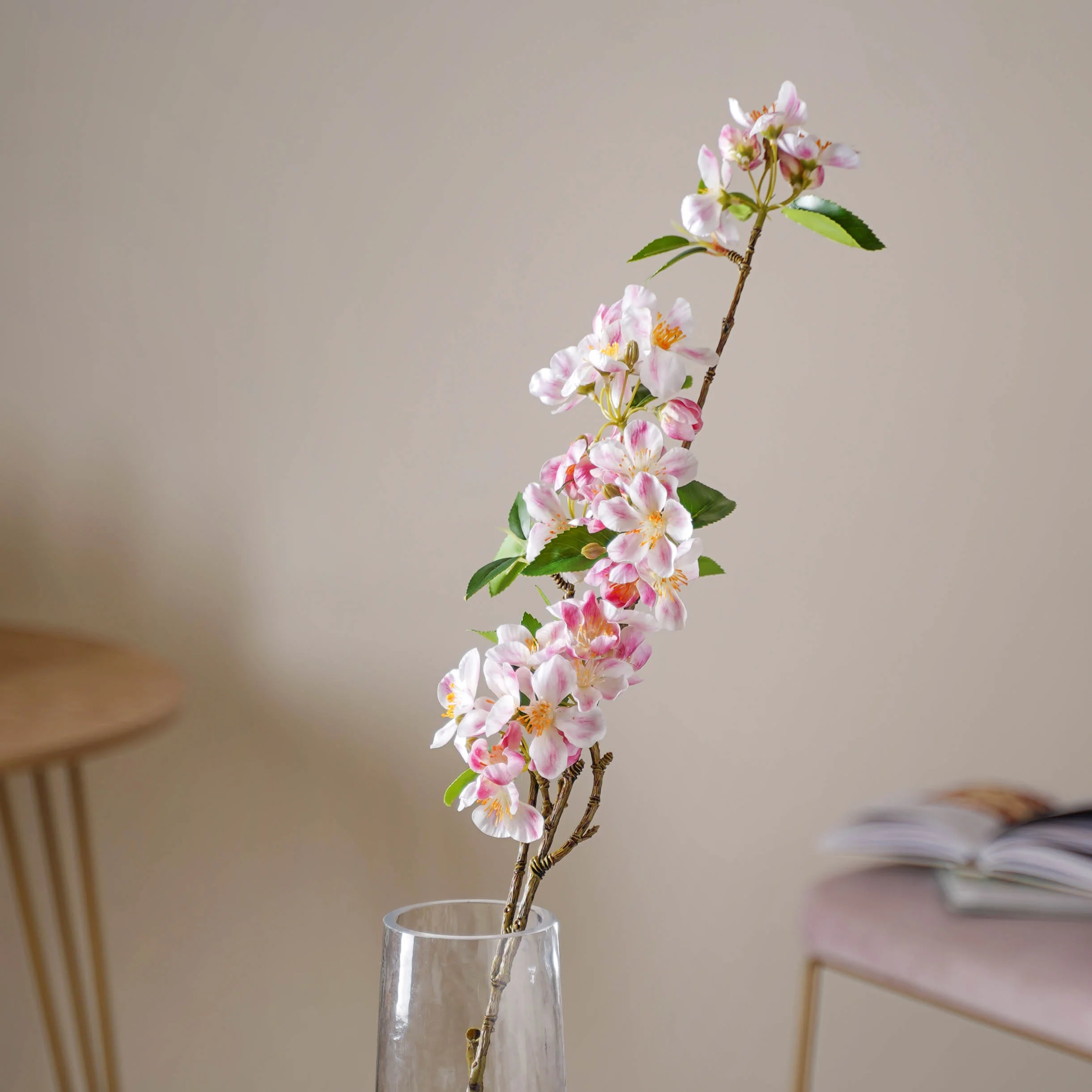 Begonia Flower - Image 7