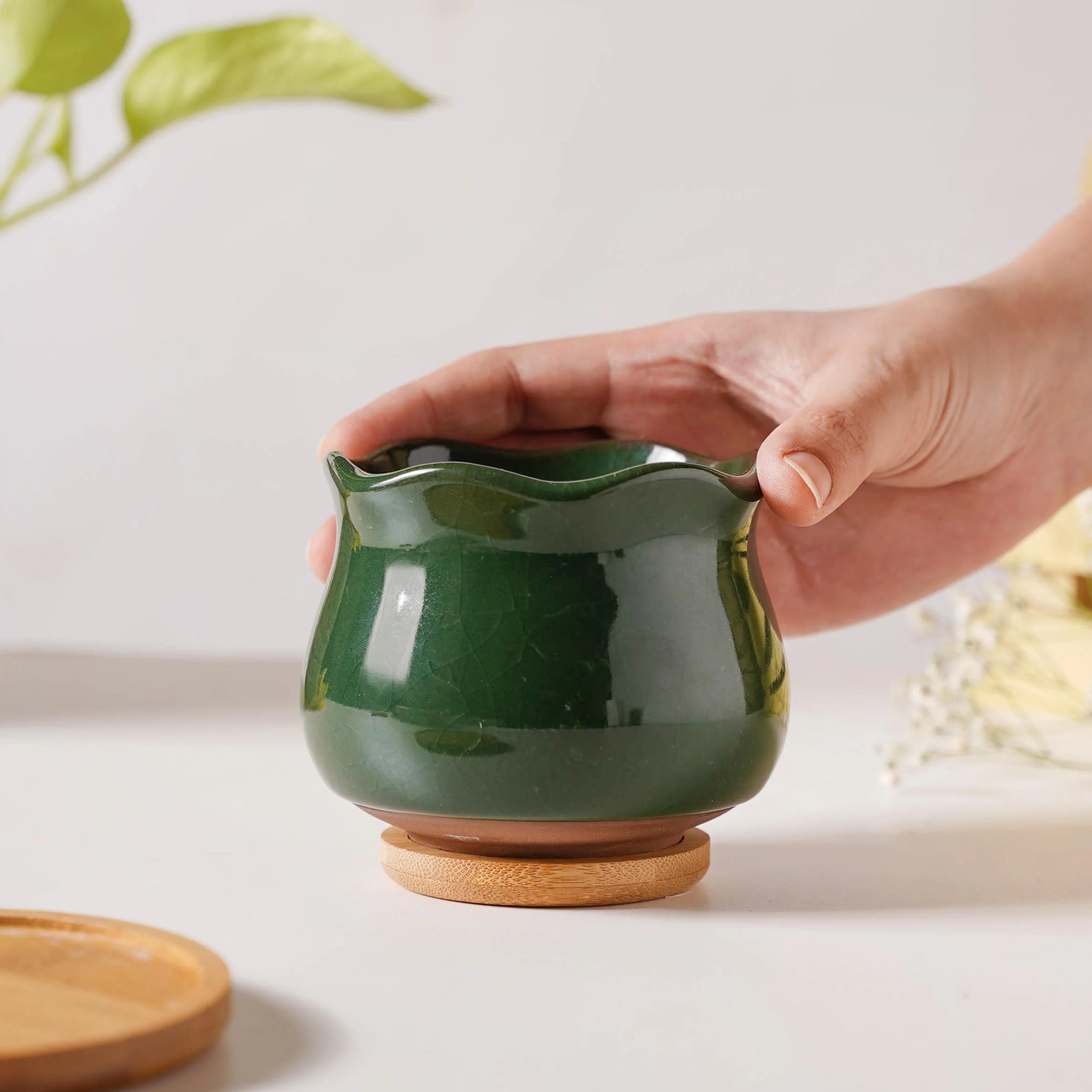 Botanica Emerald Ceramic Planter With Coaster - Image 4