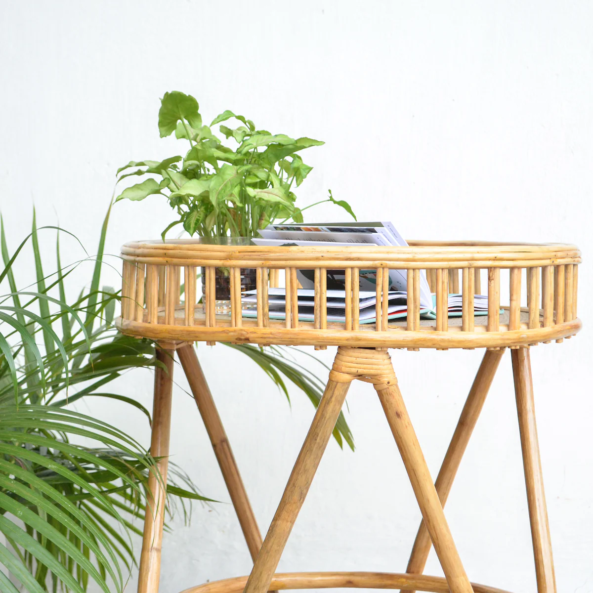 Cane Coffee Table - Image 8