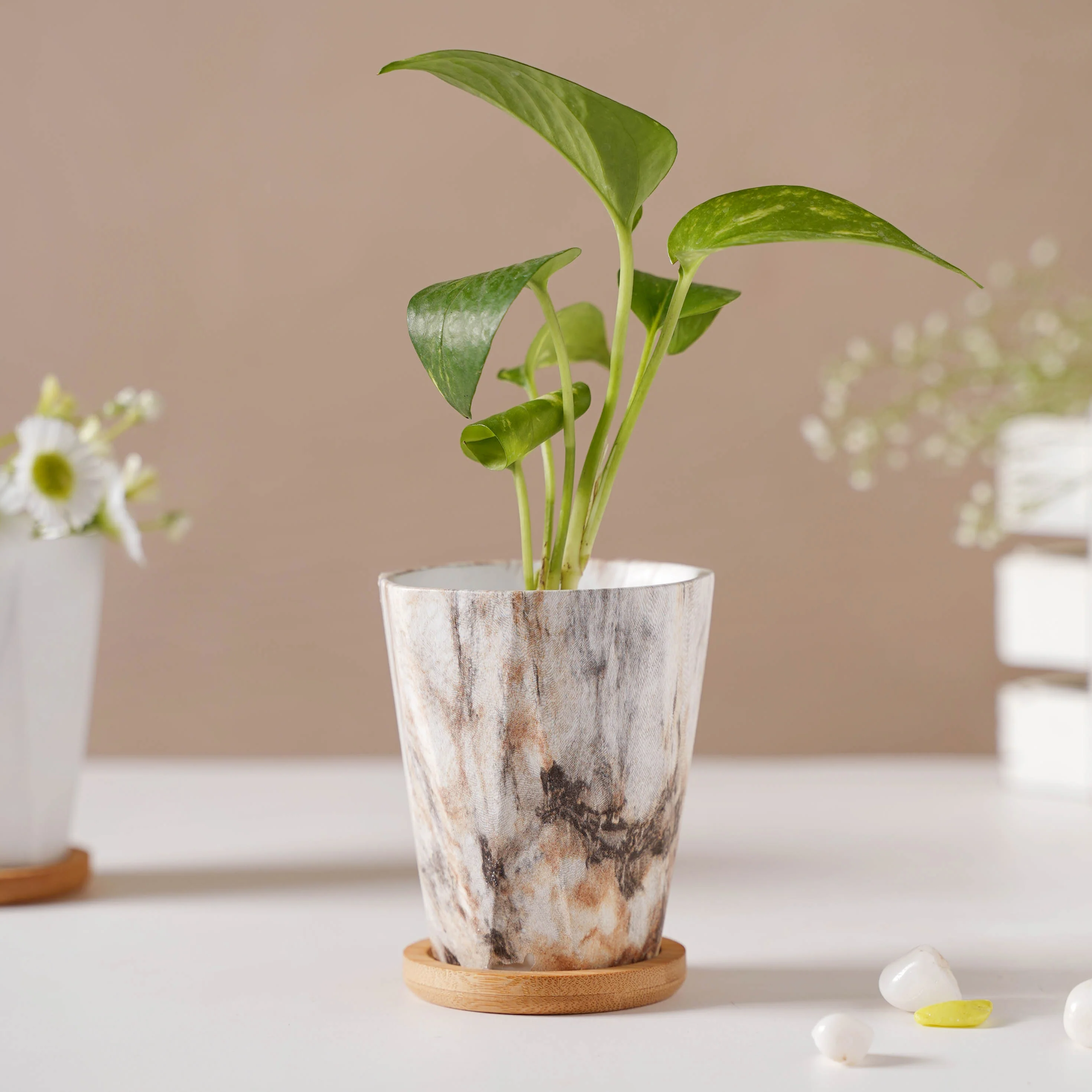 Carrara Limestone Planter With Coaster