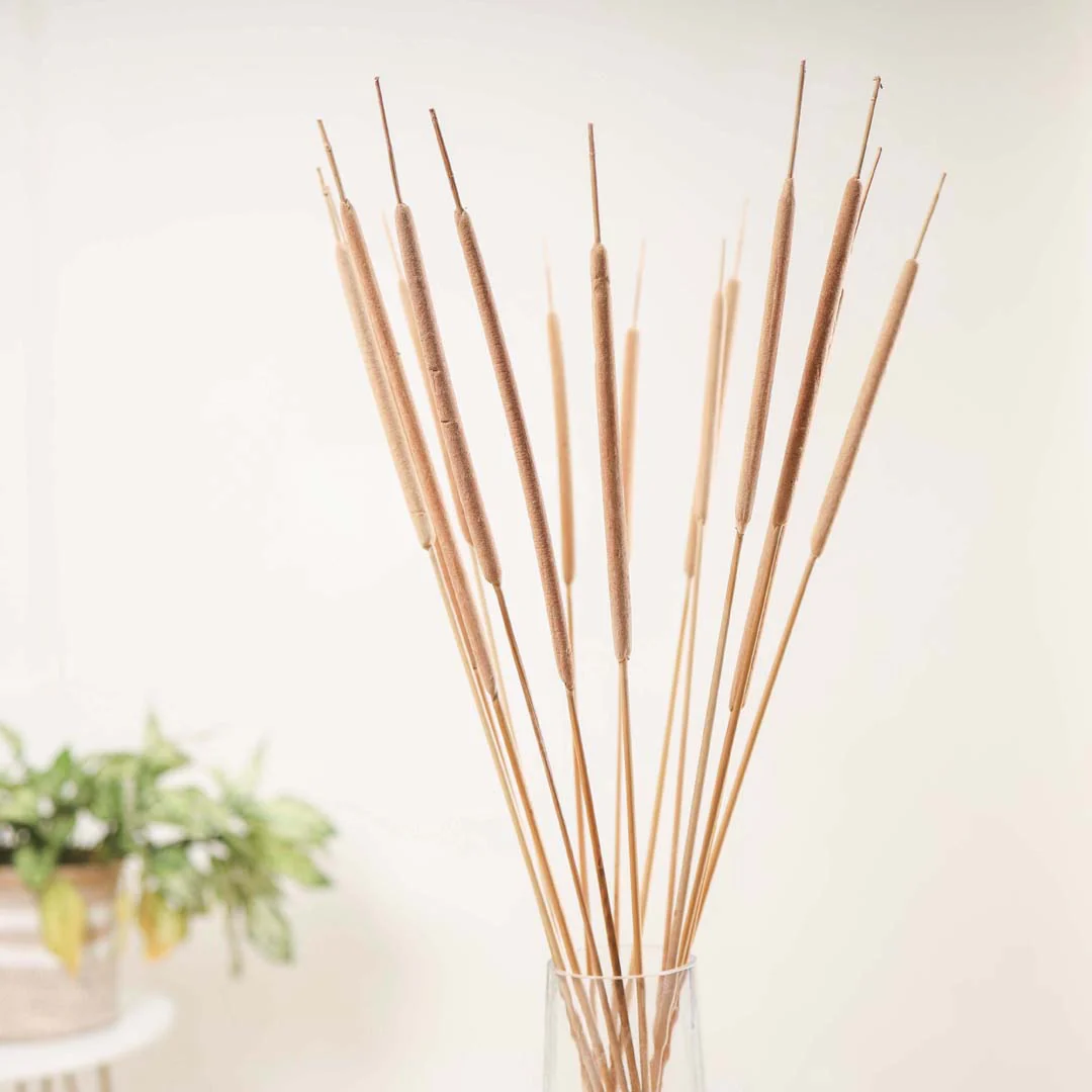 Cattail Stem For Decor - Image 4