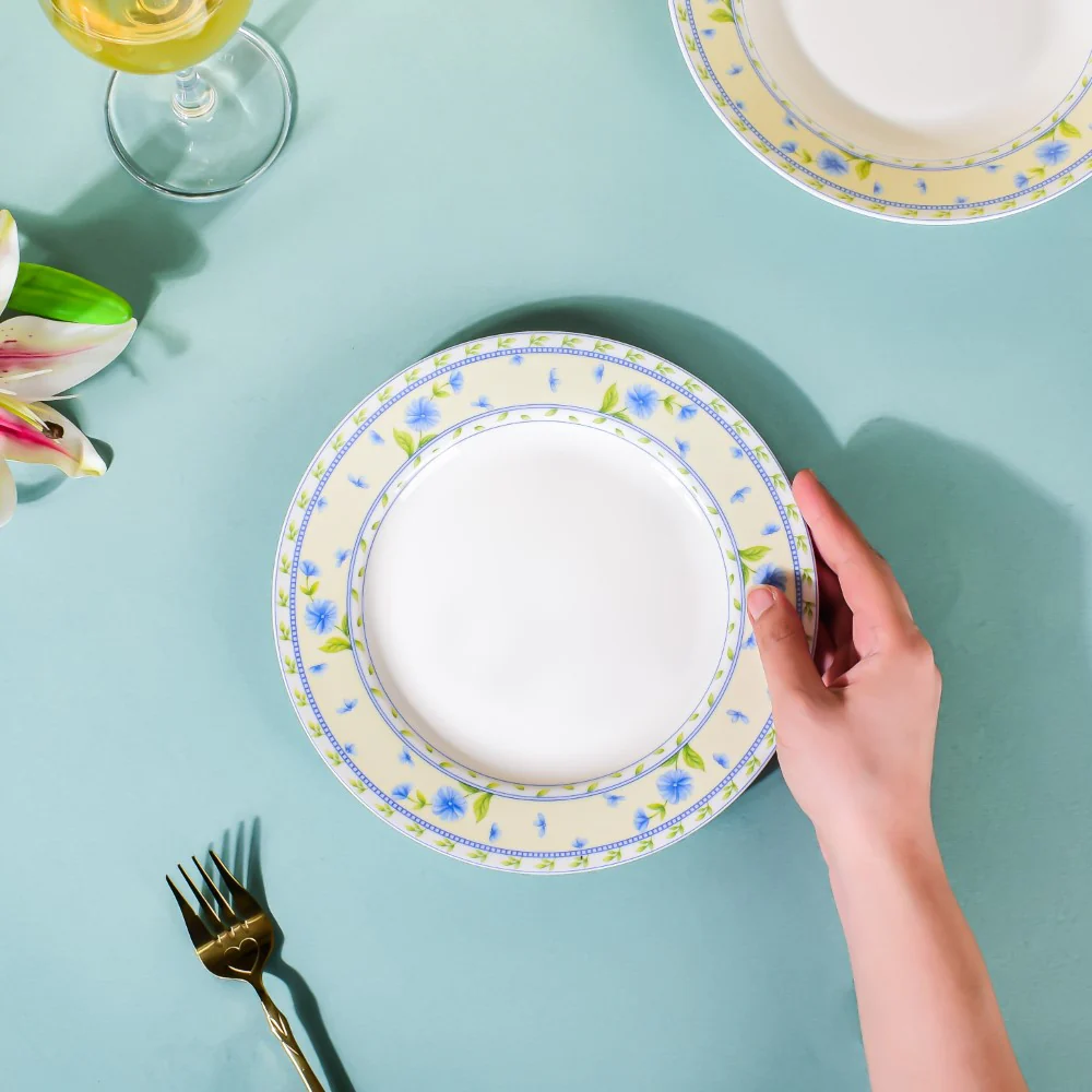 Ceramic Plates - Image 6