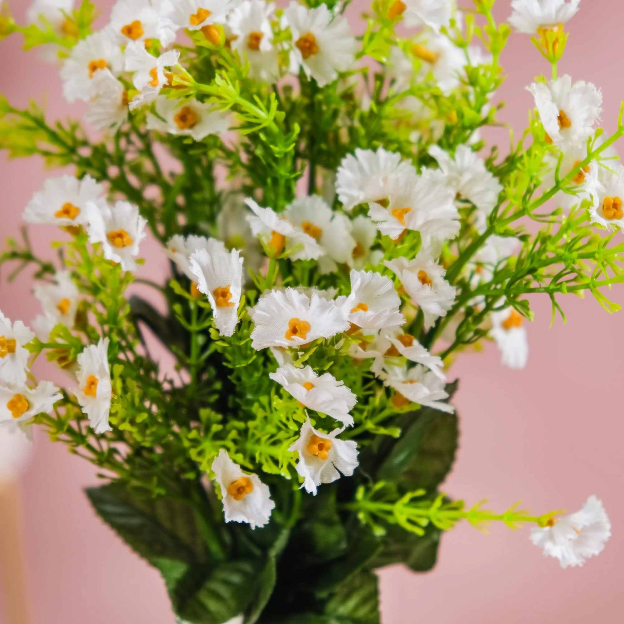 Chrysanthemum Bud Stem - Image 3