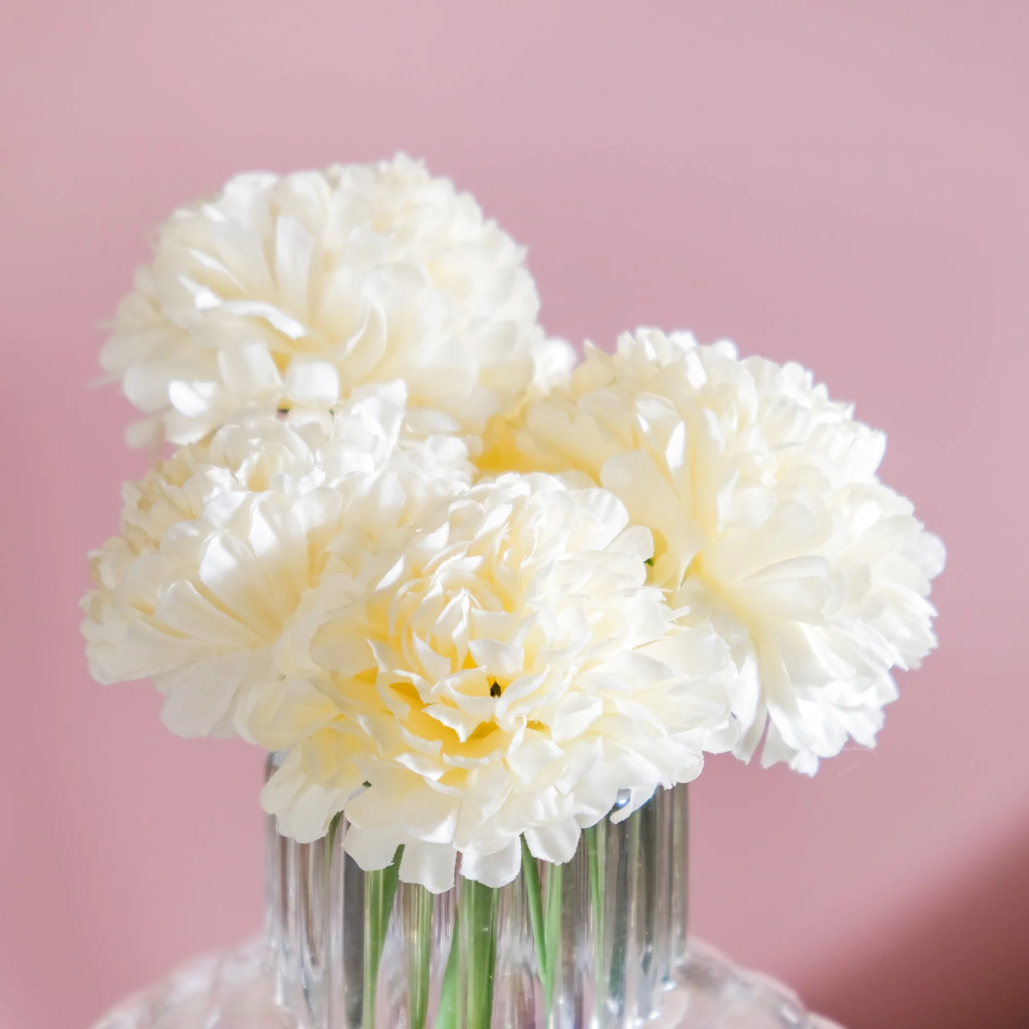 Chrysanthemum Cream Set Of 5 - Image 2