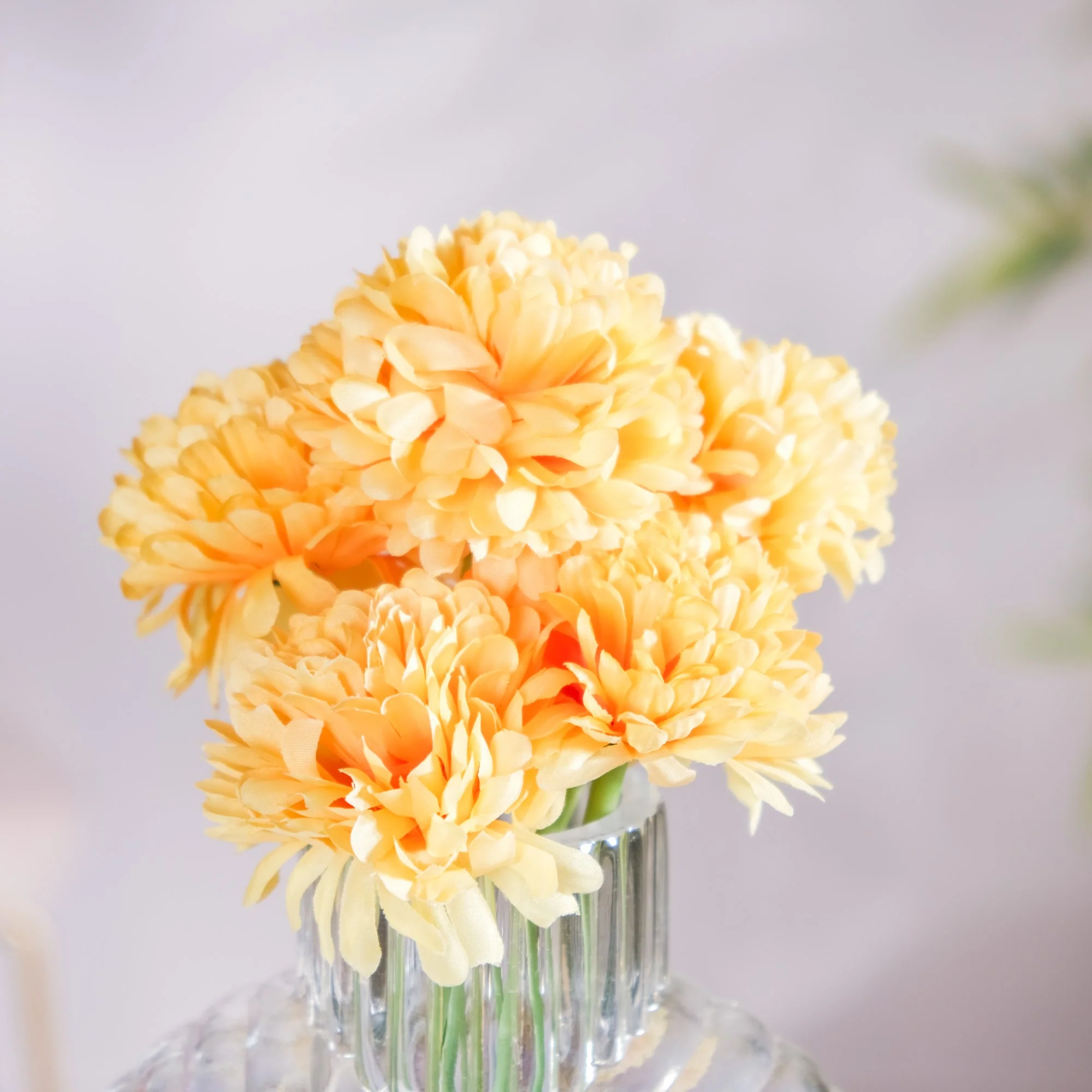 Chrysanthemum Flower Yellow Set Of 5 - Image 4