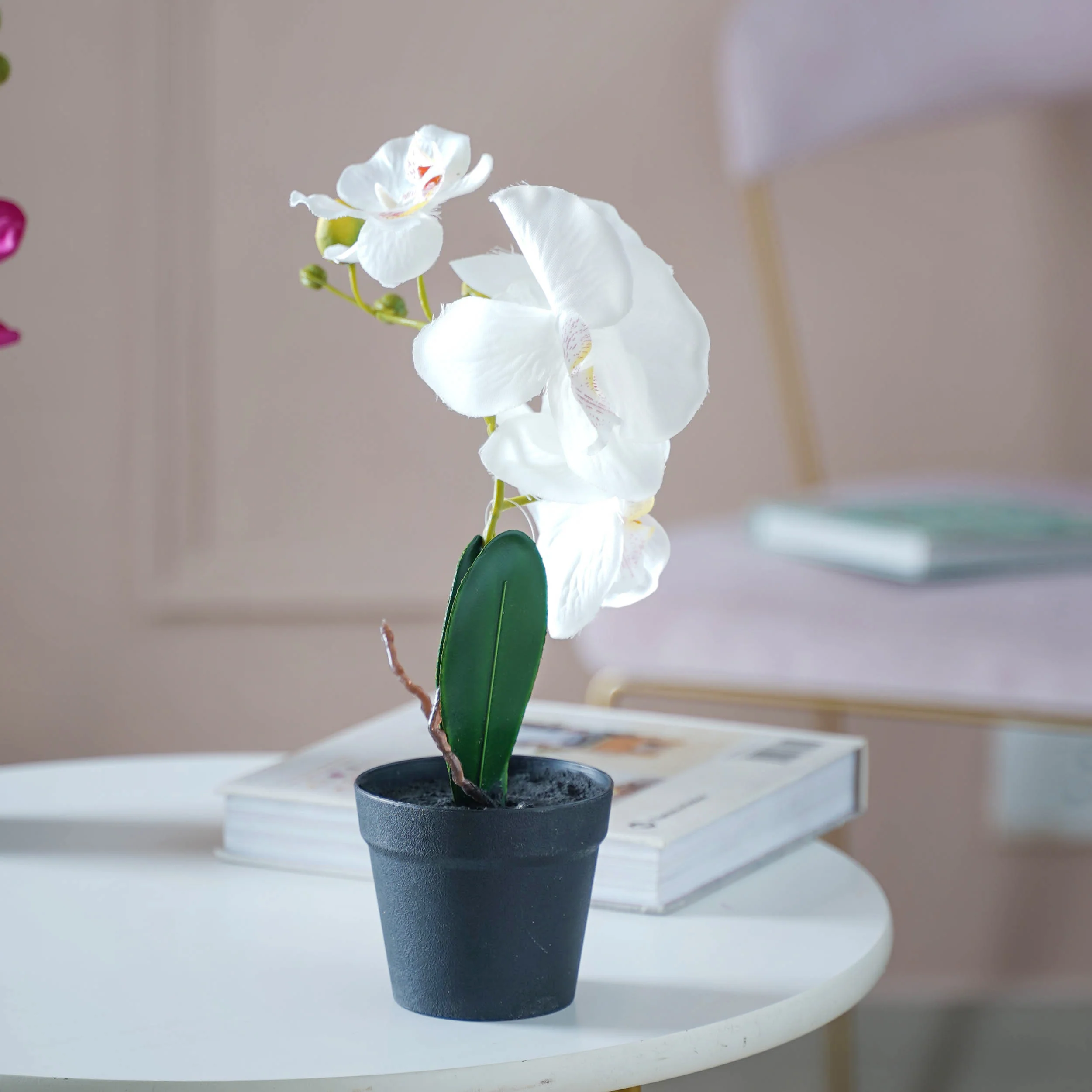 Colorful Orchid Stem - Image 5
