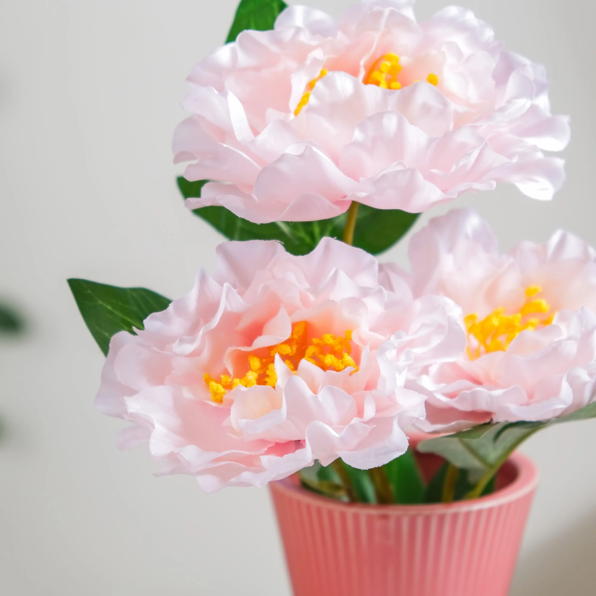 Colorful Peony Stems - Image 12