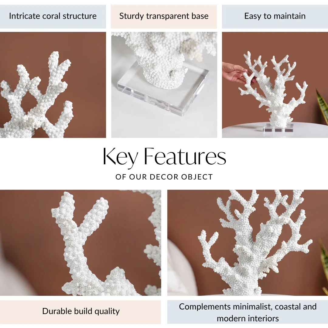 Coral Reef Coffee Table Decor - Image 4