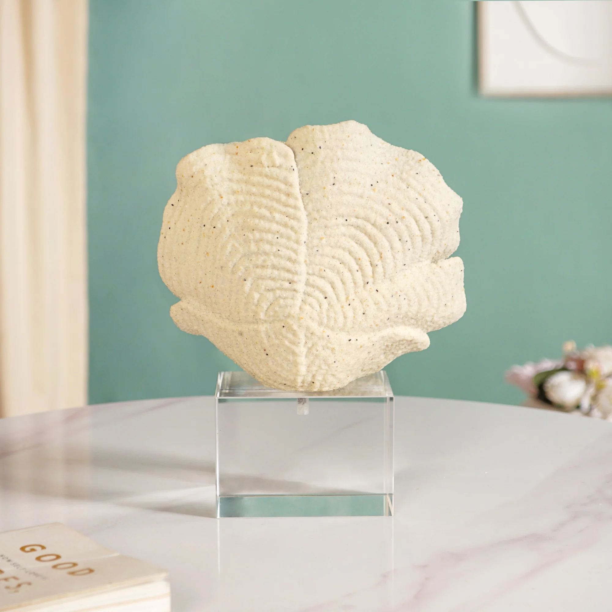 Coral Reef Decor - Image 8