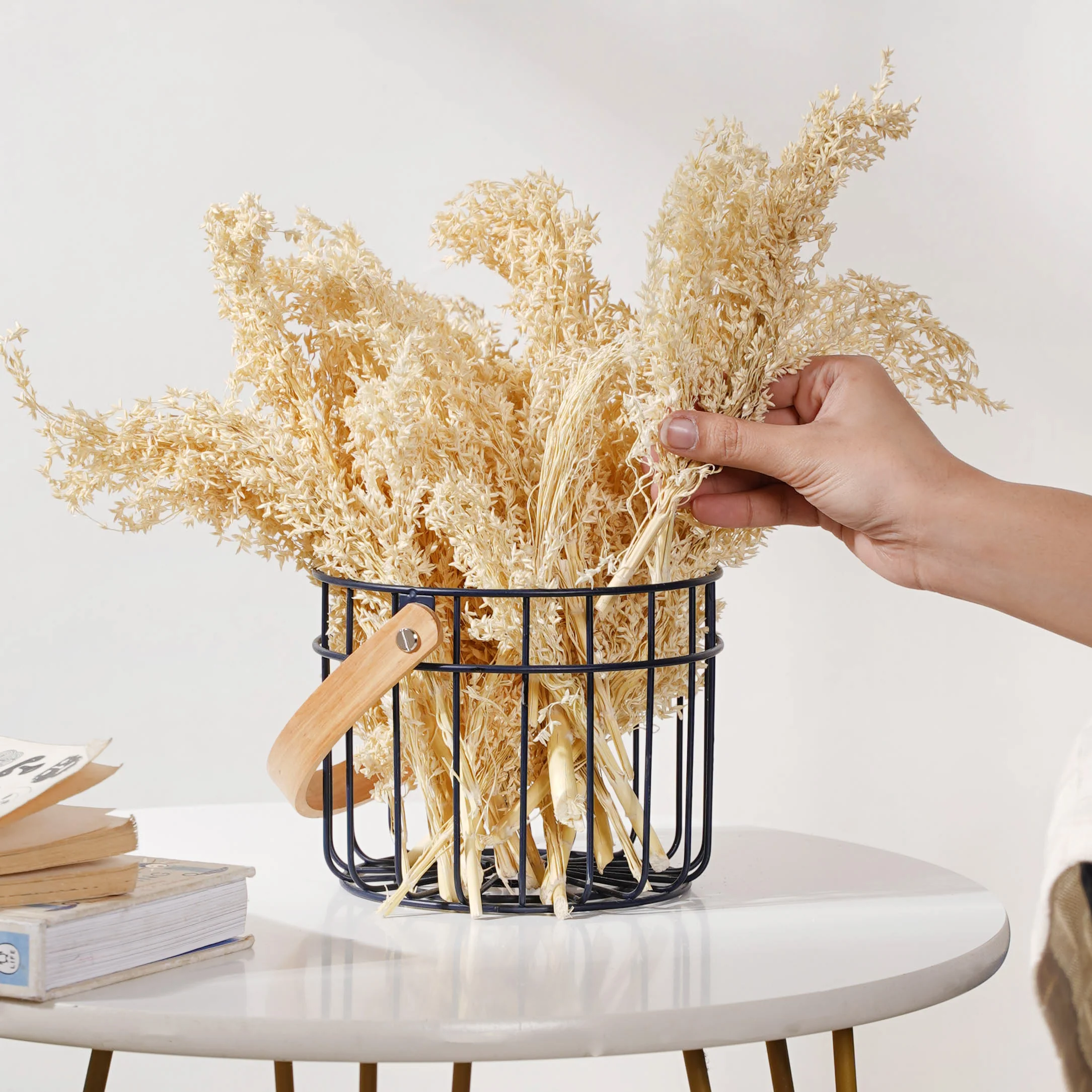 Corn Grass Stem