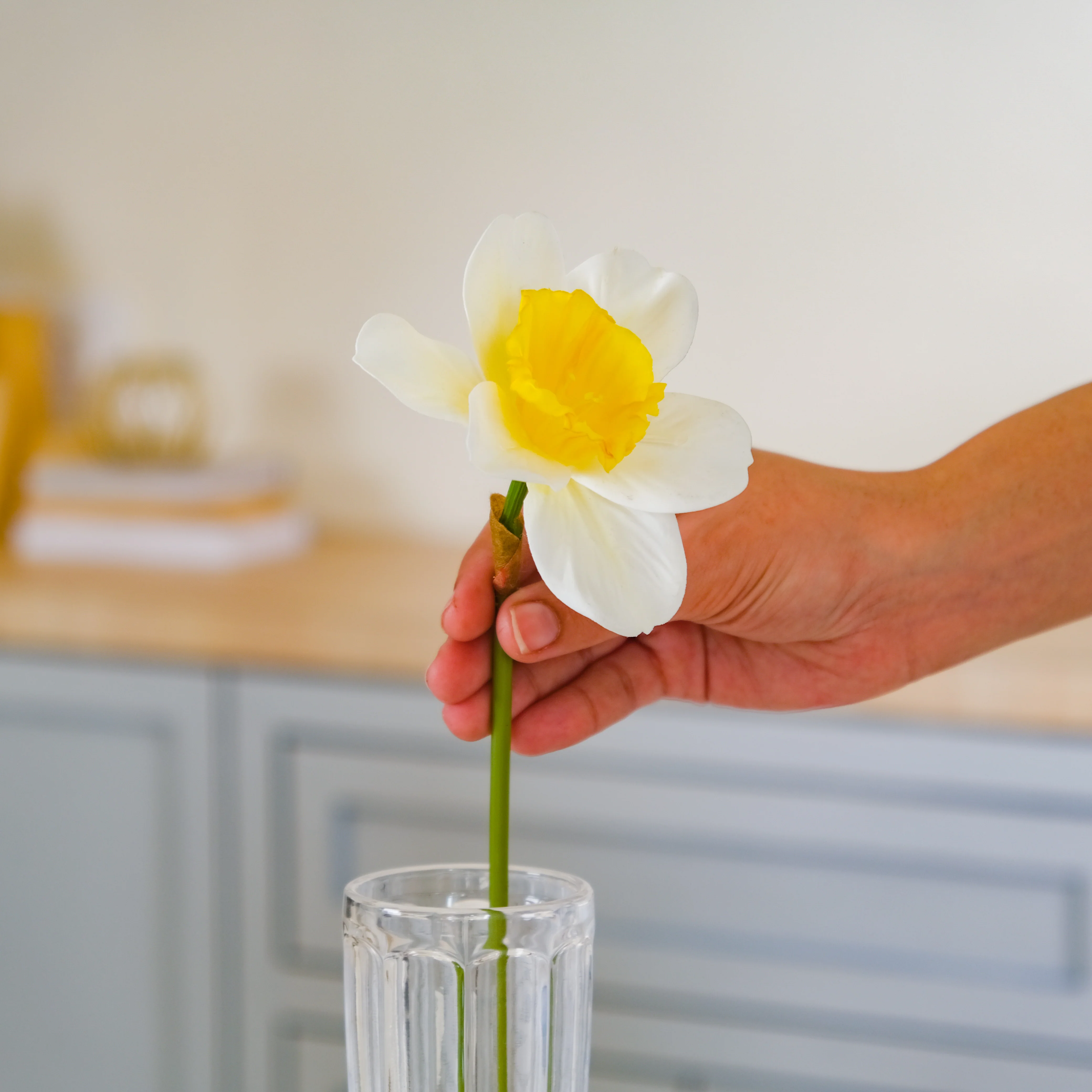 Daffodil Flower - Image 10