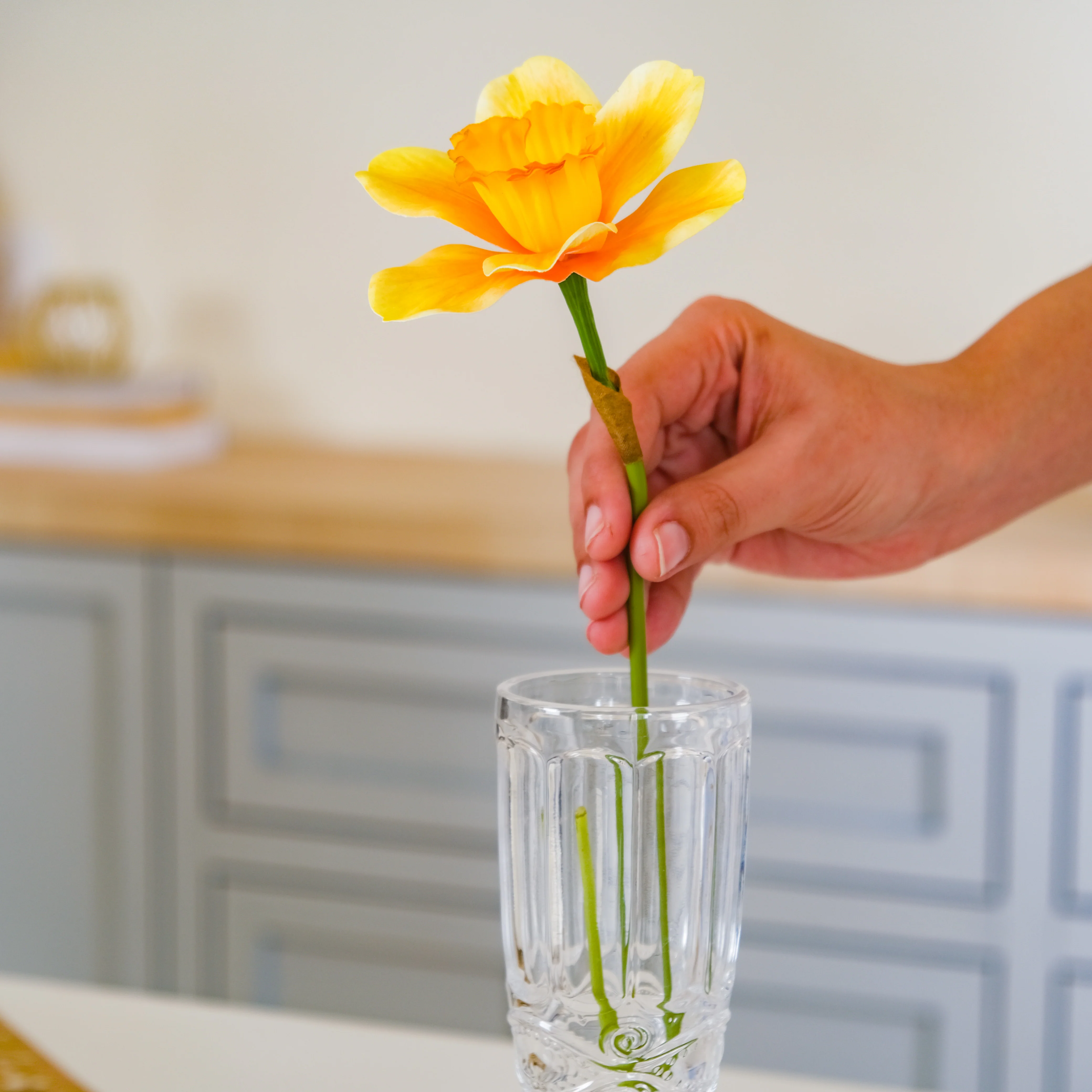 Daffodil Flower - Image 7