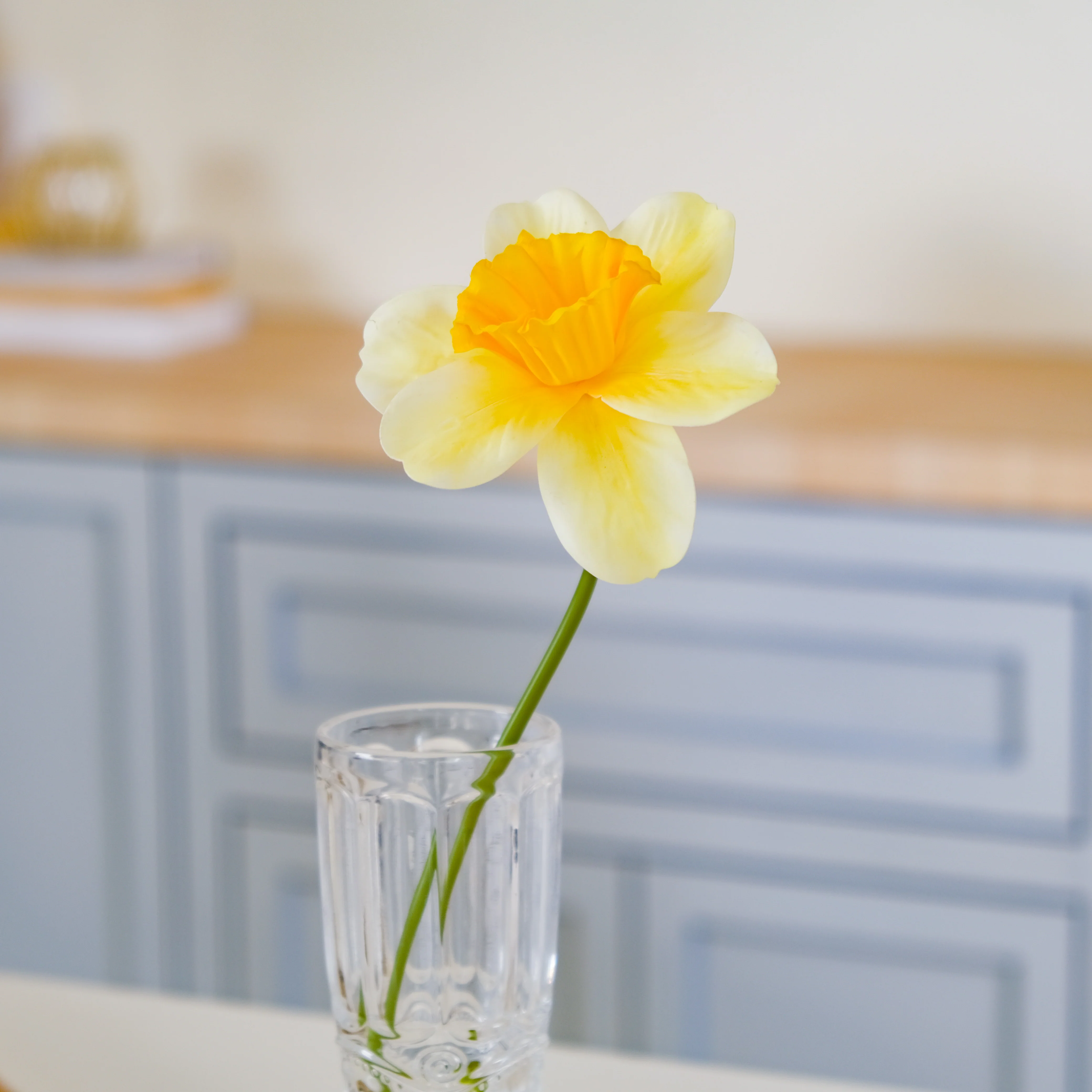 Daffodil Flower - Image 8