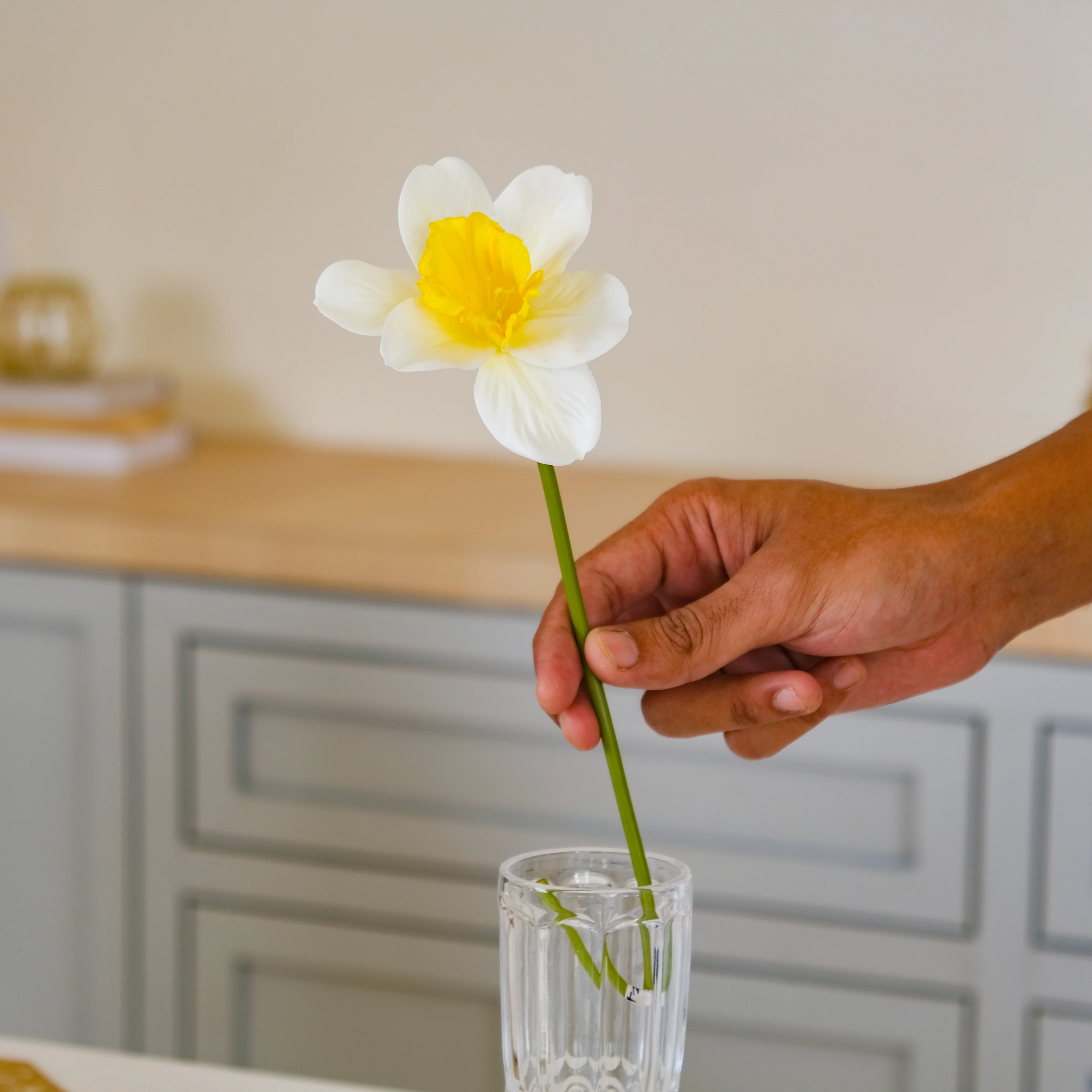 Daffodil Flower - Image 9