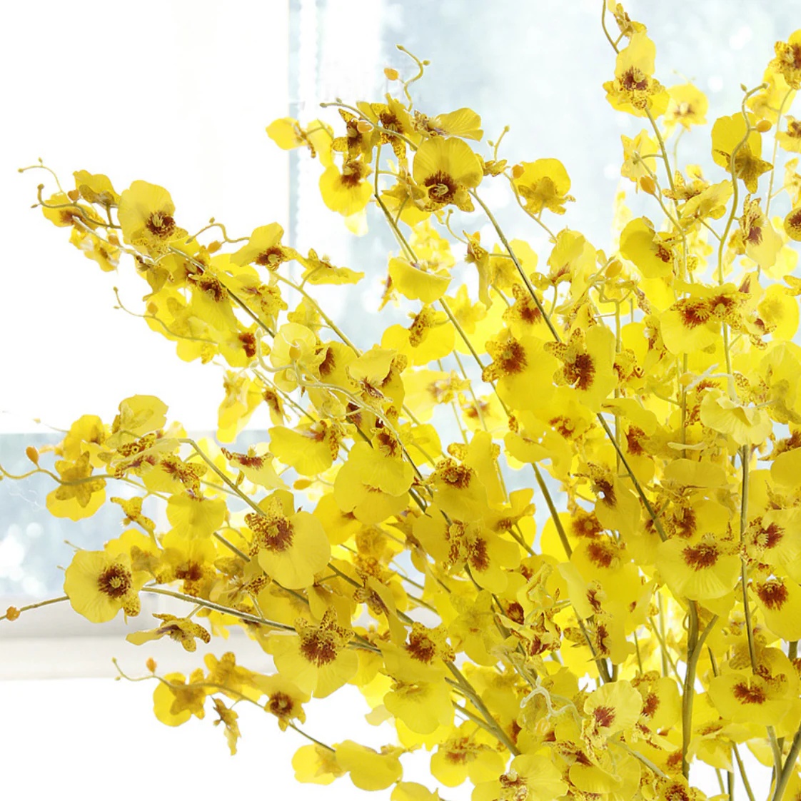 Dancing Orchid - Image 14