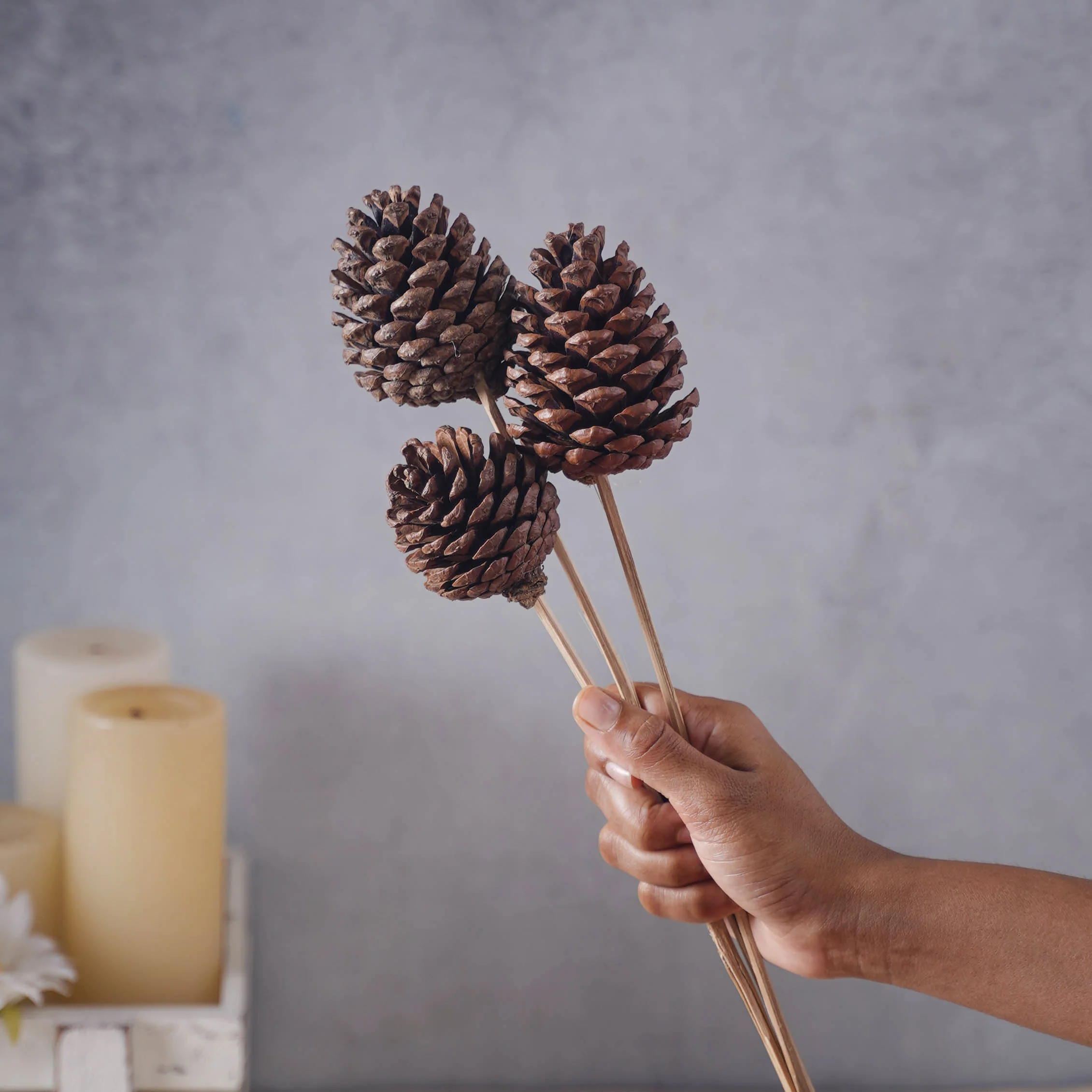 Decorative Pine Cones - Image 2