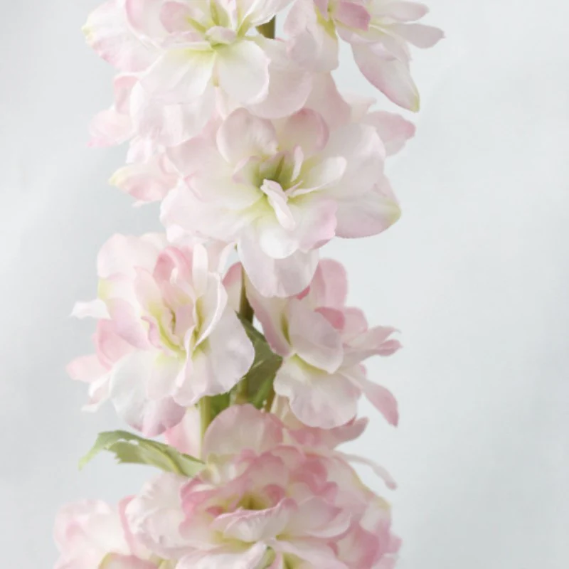 Delphinium Flower - Image 13