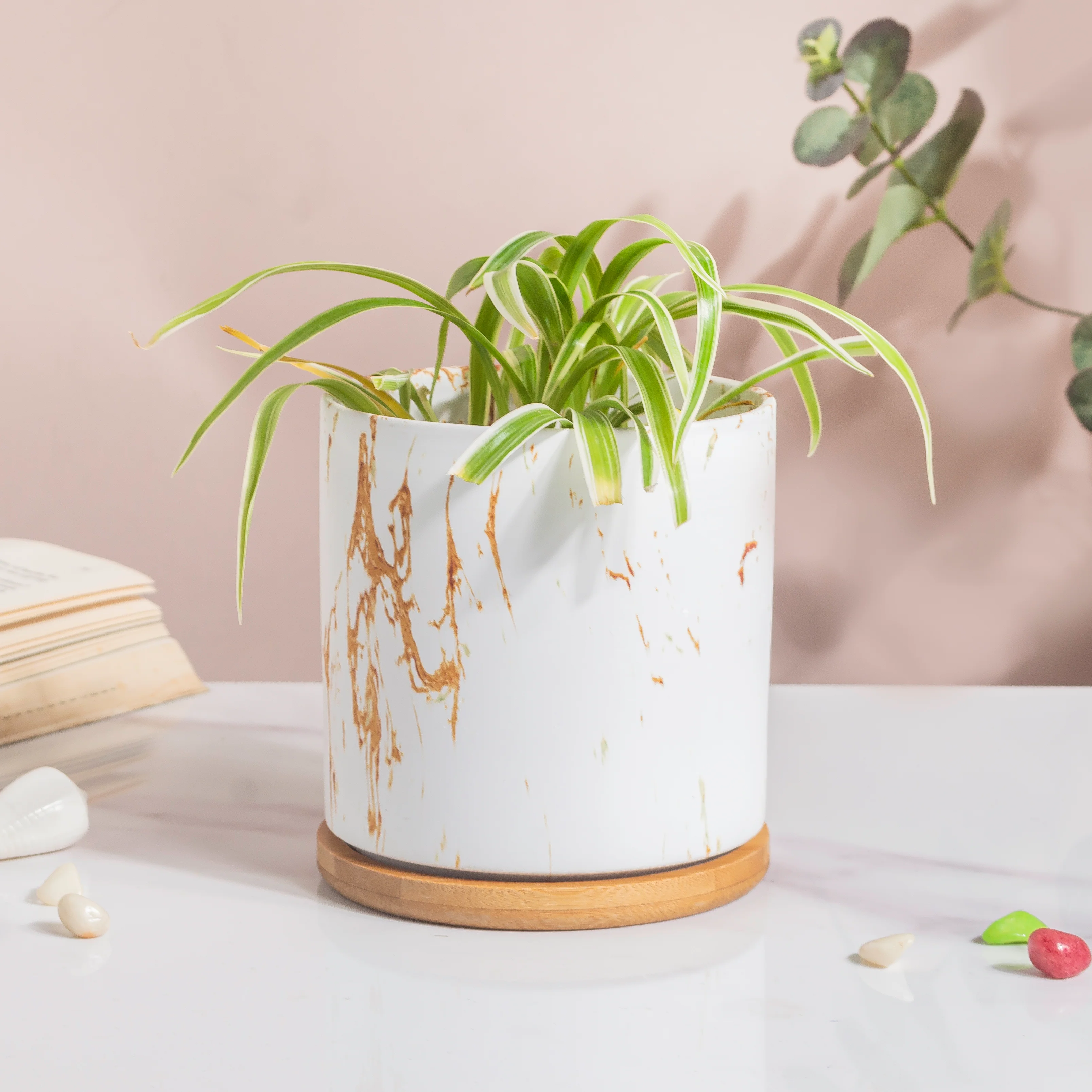 Earthy Elegance Planter Pot With Coaster Set Of 4 - Image 5