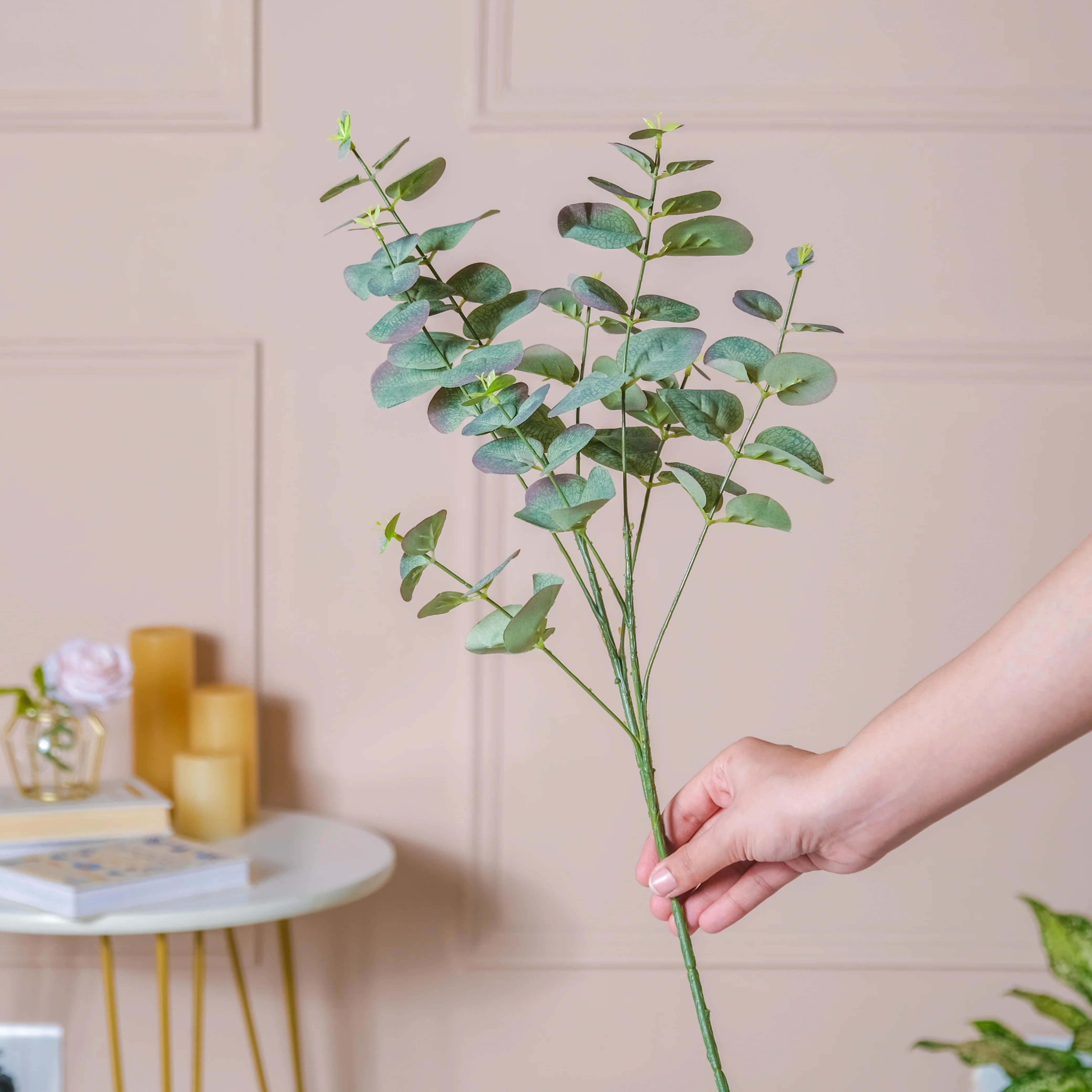 Eucalyptus Leaf Stem