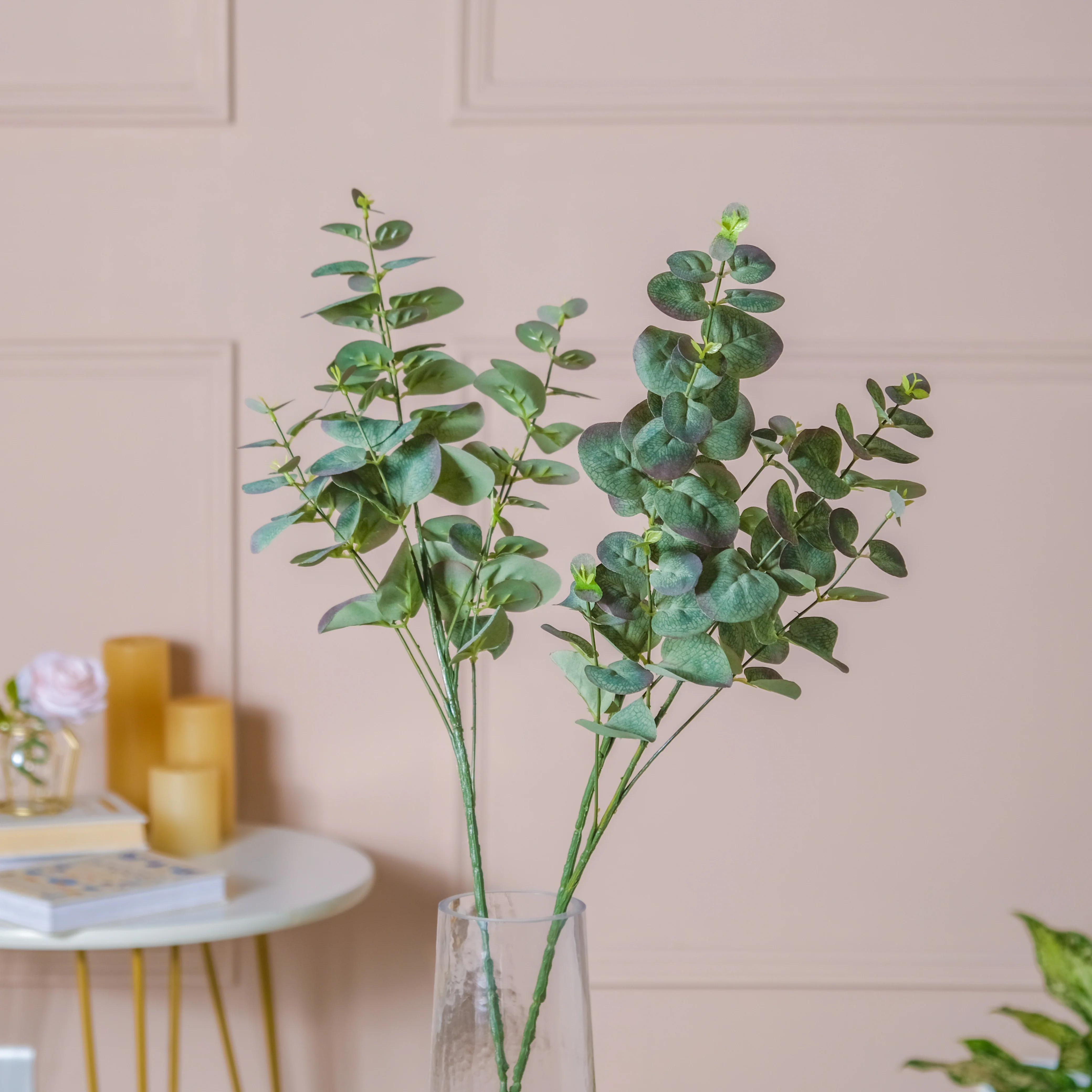 Eucalyptus Leaf Stem - Image 4
