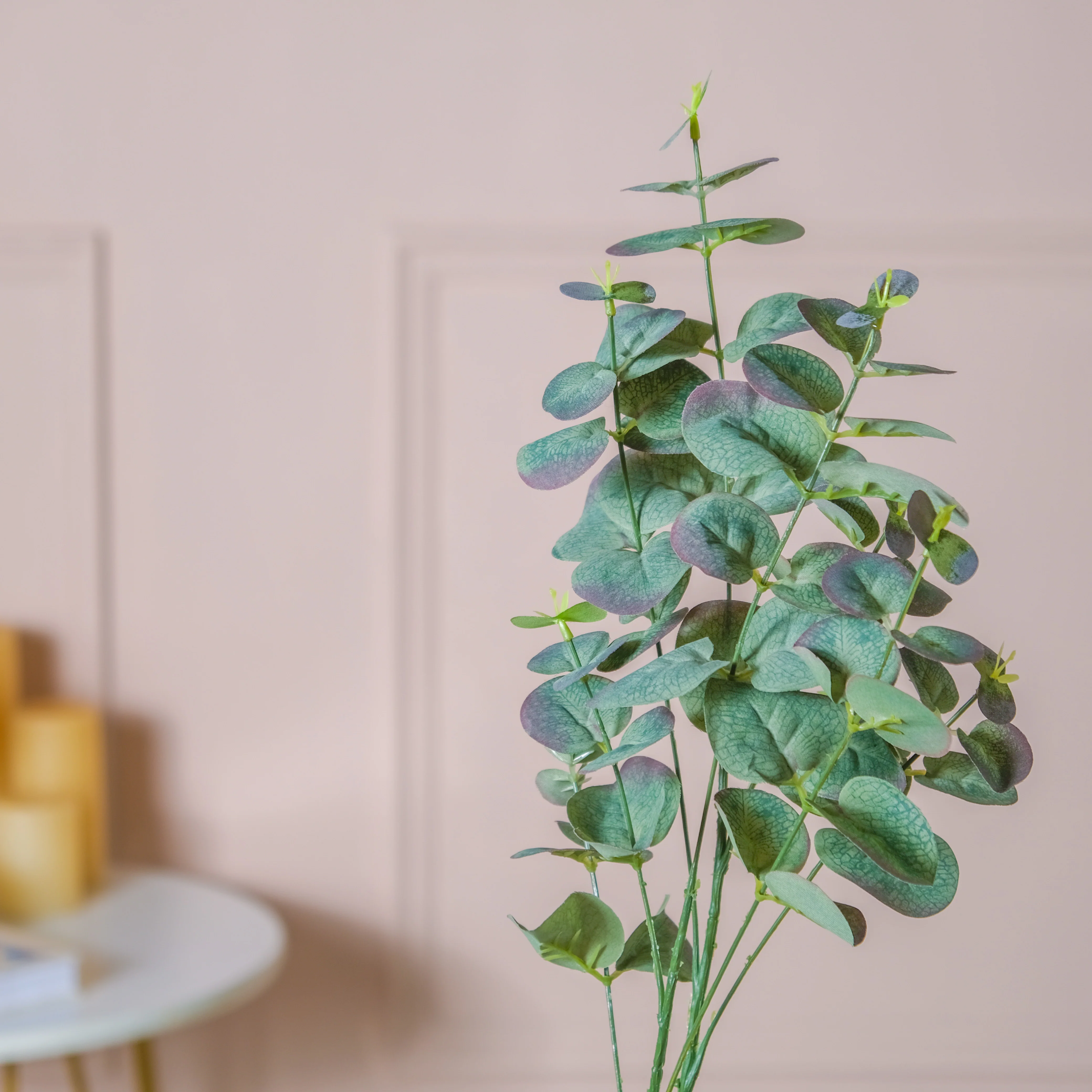 Eucalyptus Leaf Stem - Image 7