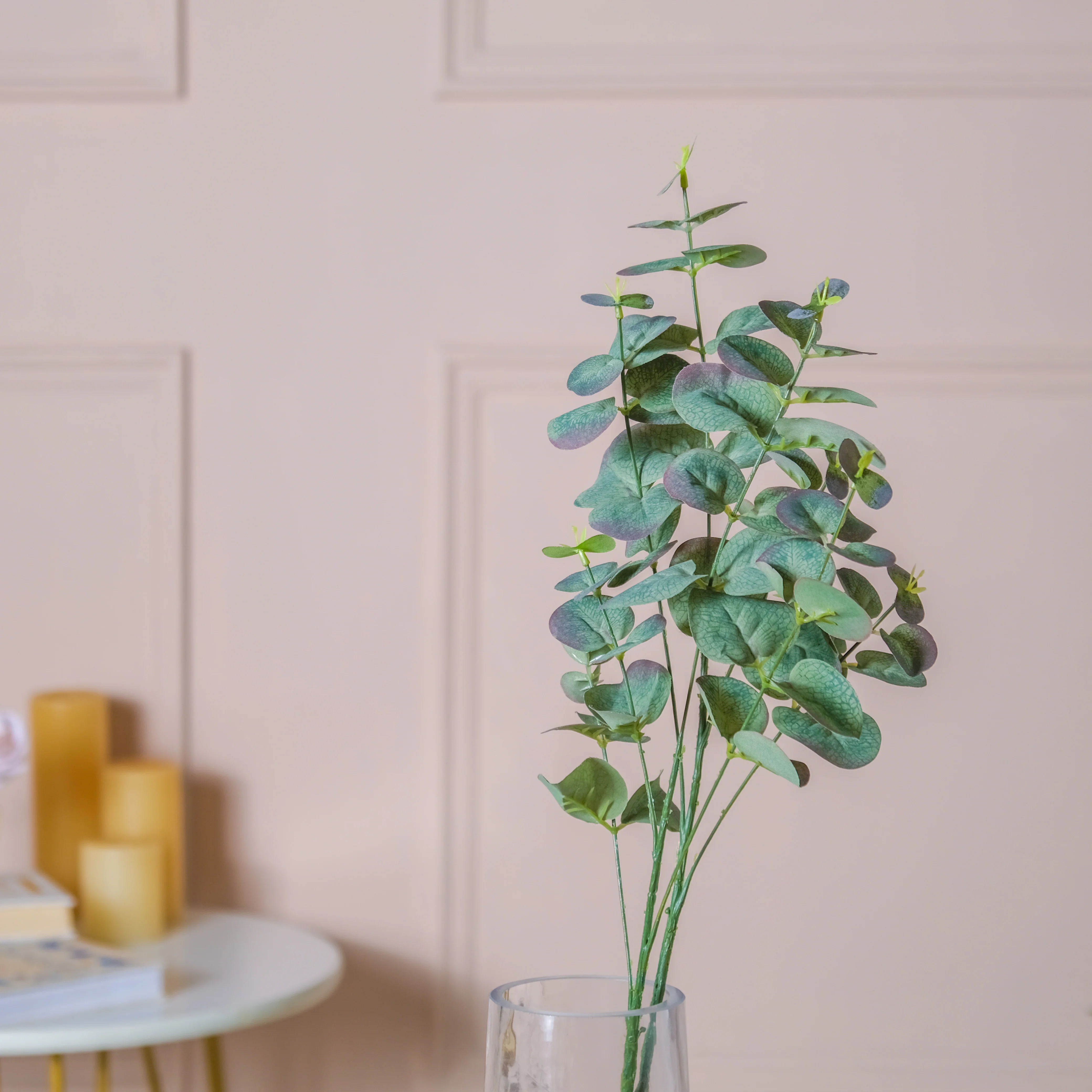 Eucalyptus Leaf Stem - Image 9