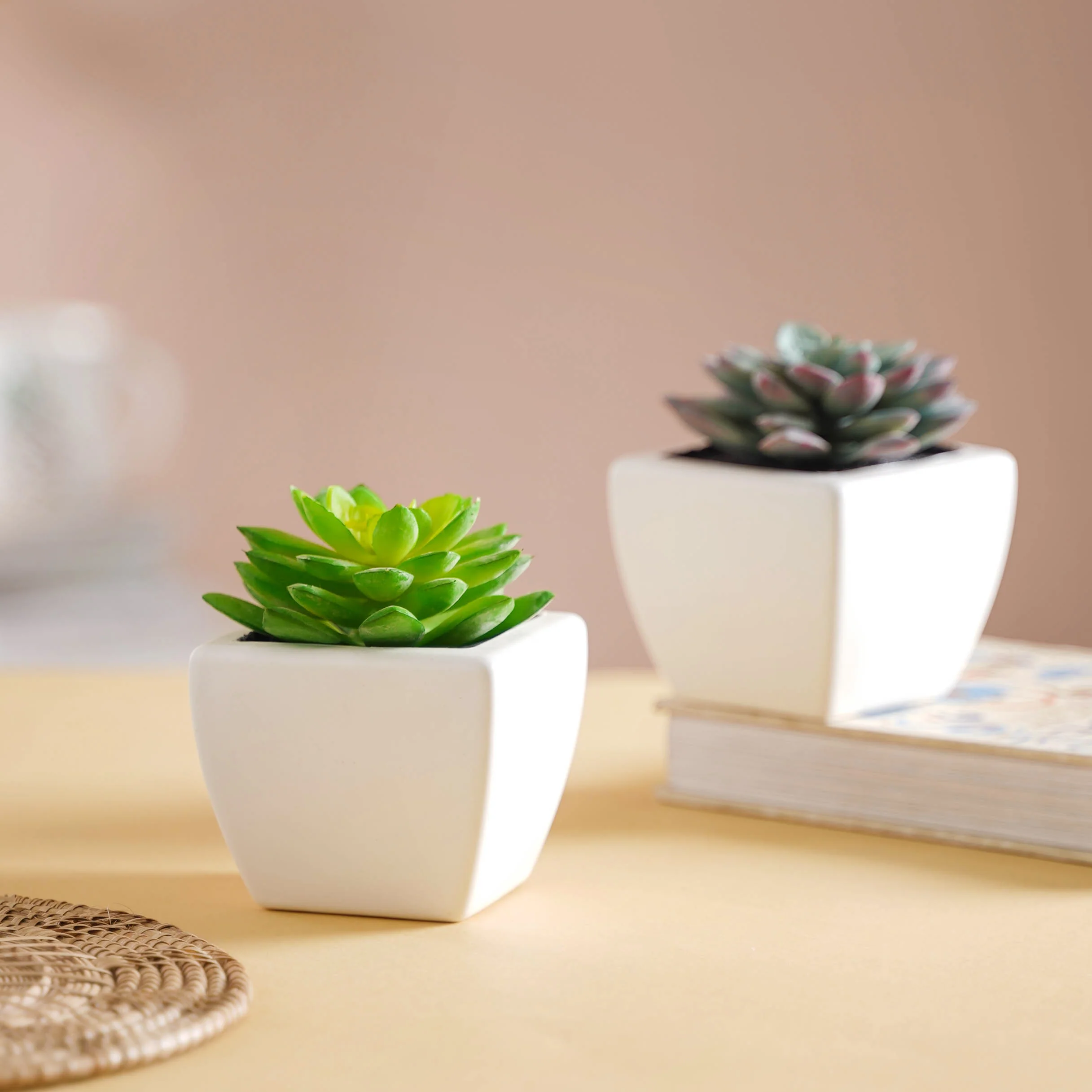 Faux Succulent Plant - Image 2