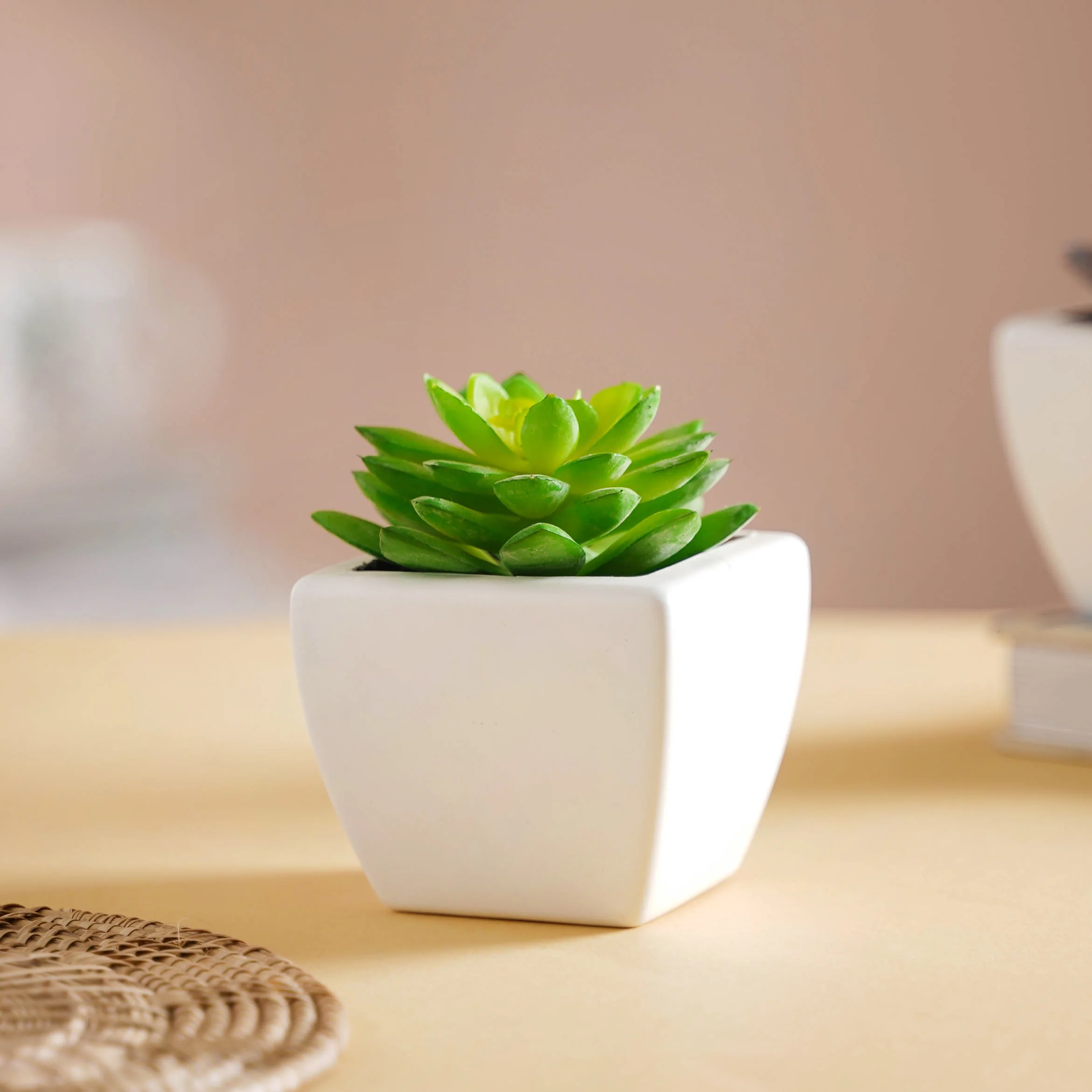 Faux Succulent Plant - Image 4
