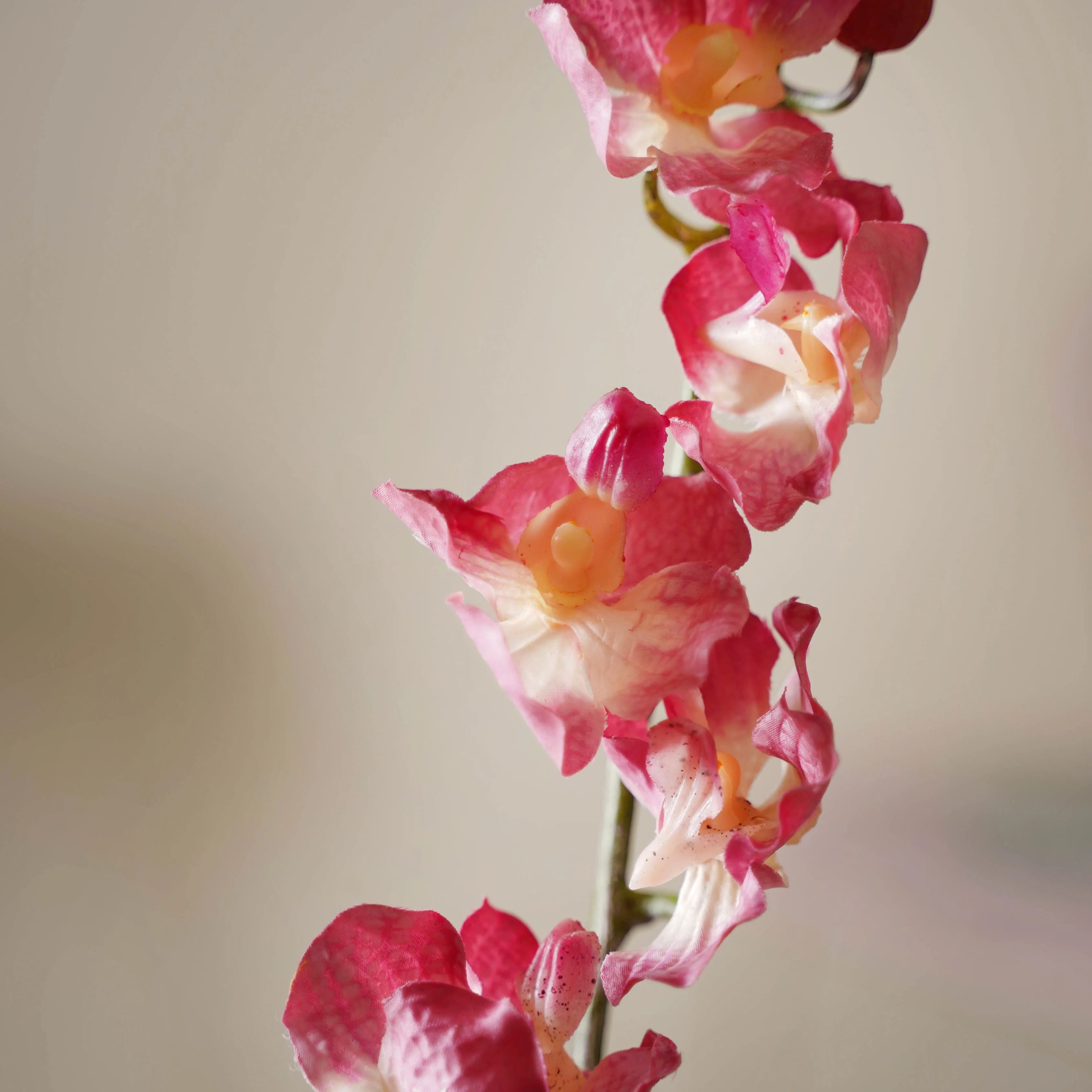 Floral Stem - Image 6