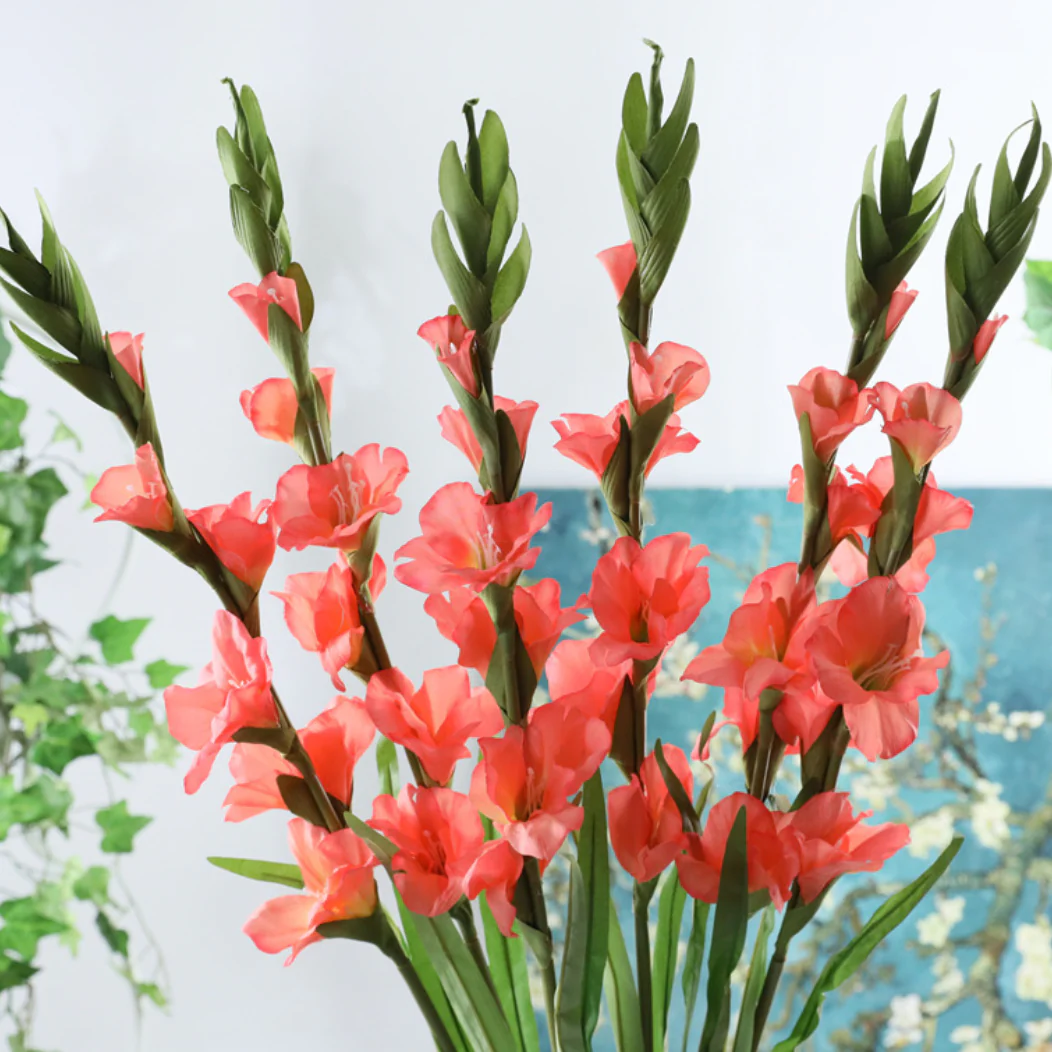 Gladiolus flower - Image 7