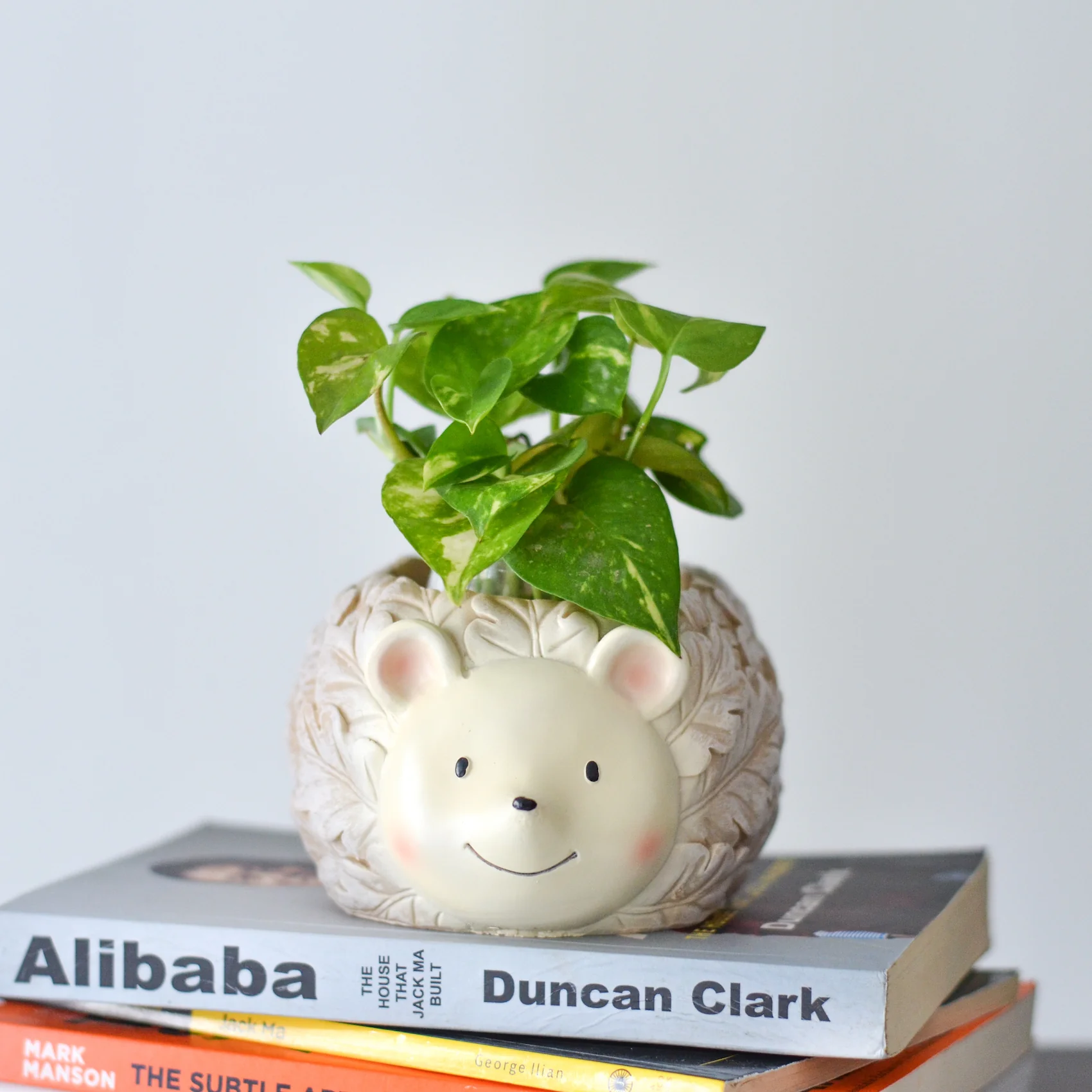 Hedgehog Planter - Image 3