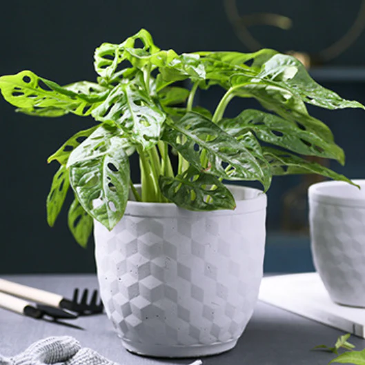 Hexagon Textured Pot - Image 7
