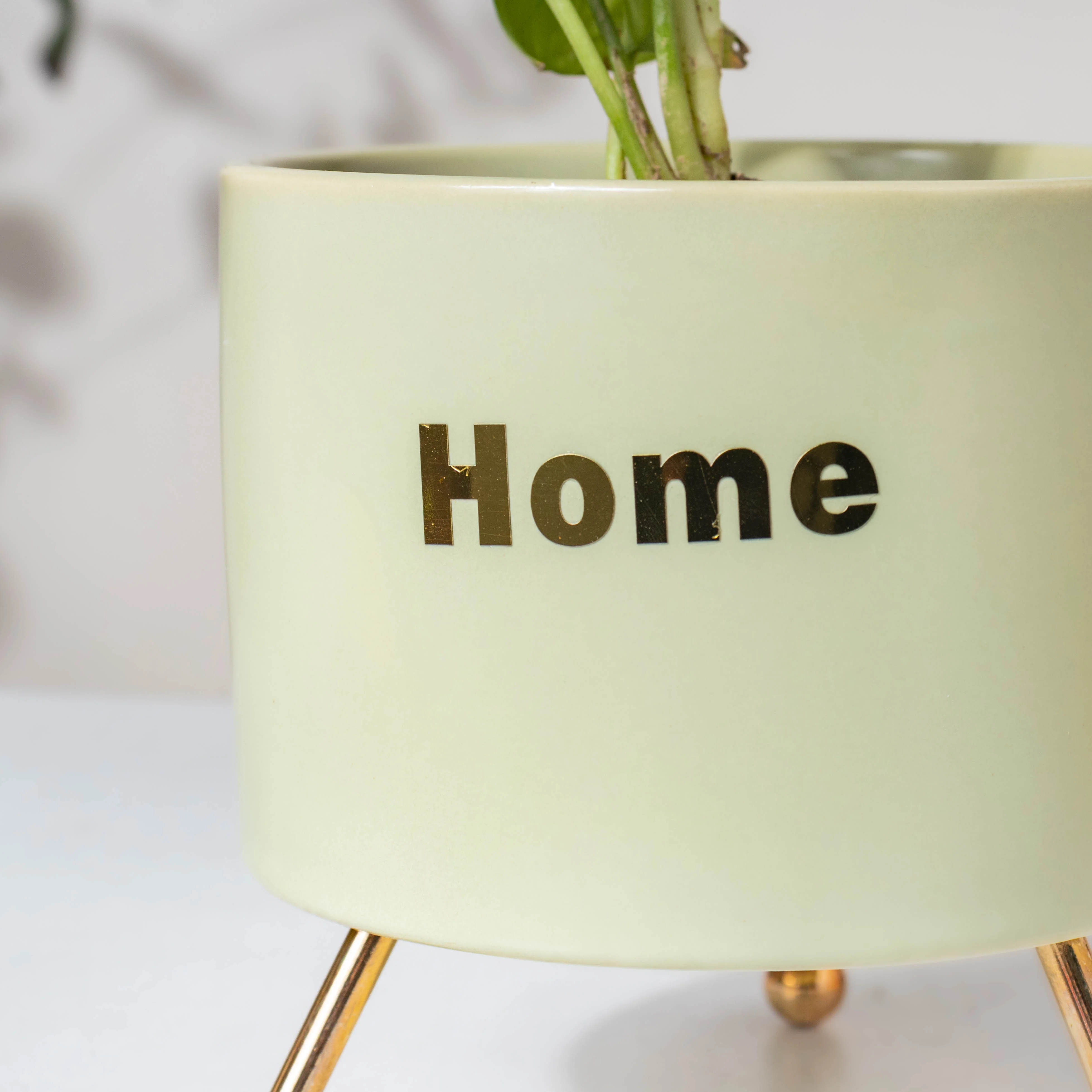 Home Ceramic Planter With Stand Green - Image 6