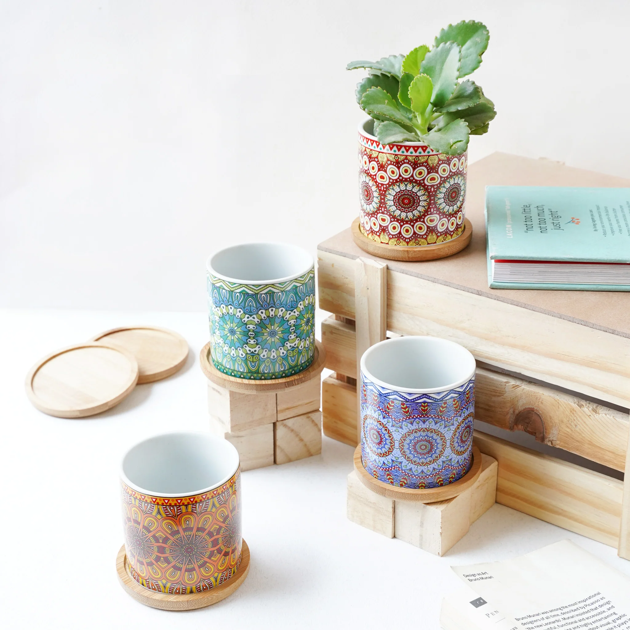 House Plant Pots - Image 4
