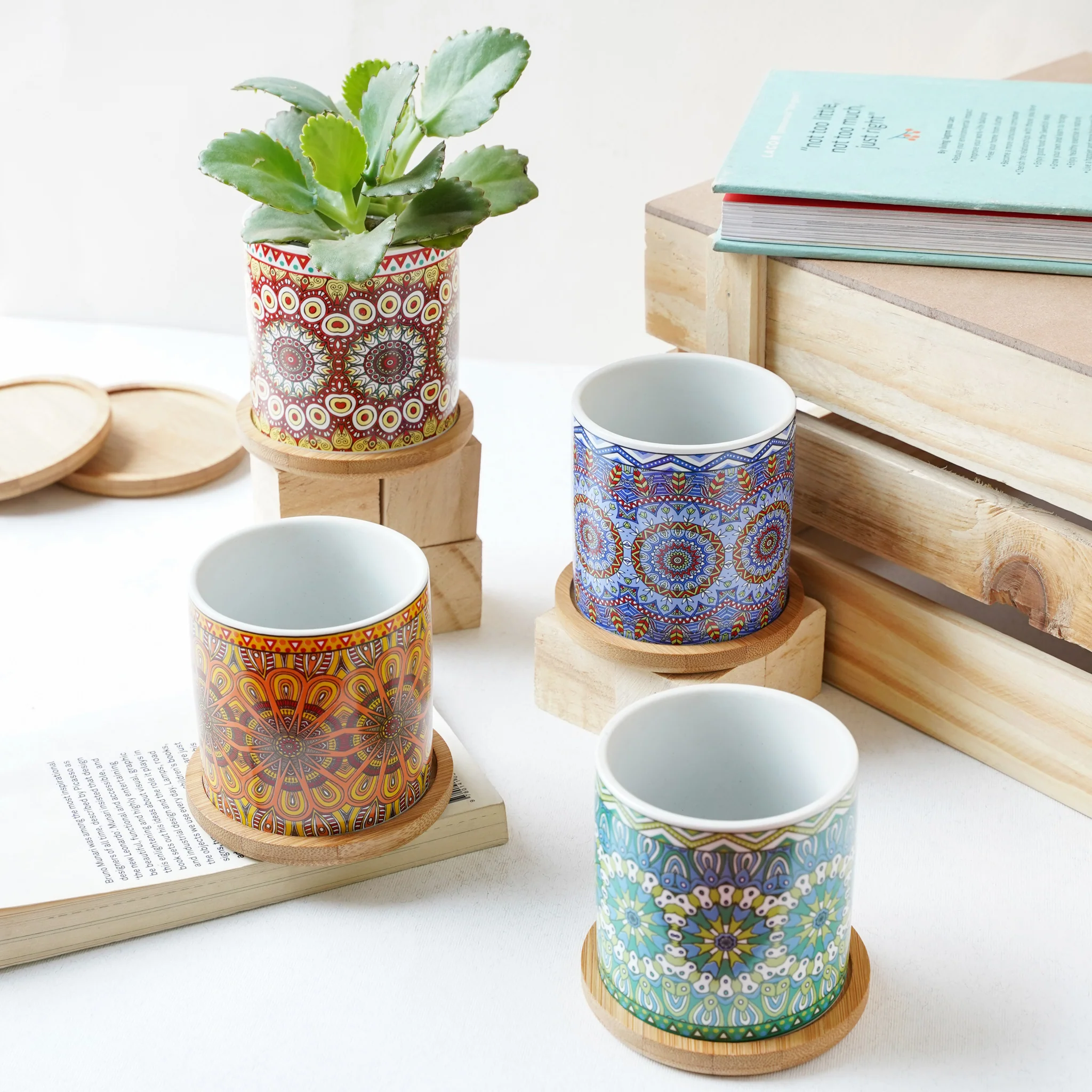 House Plant Pots - Image 7