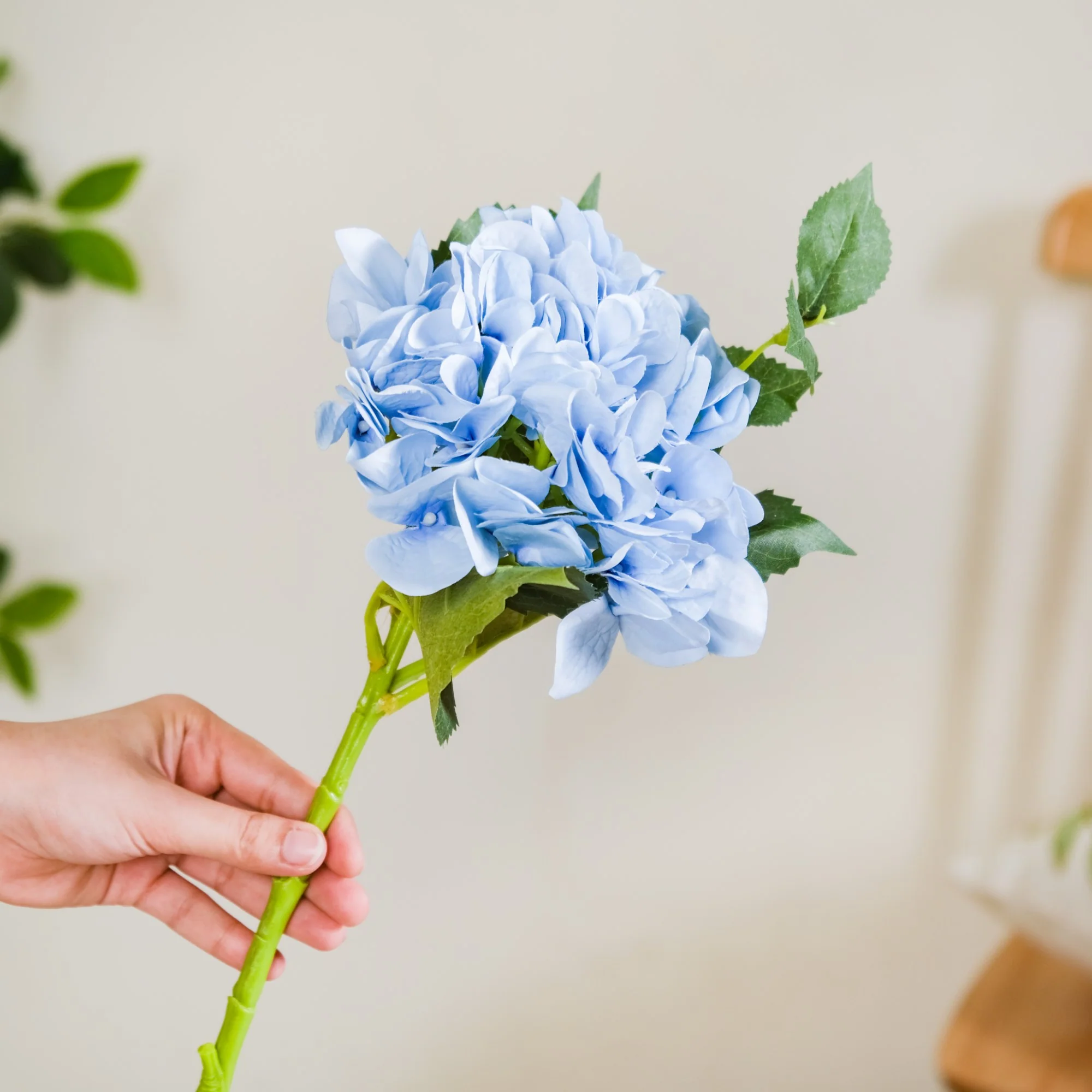 Hydrangea With Leaves Blue - Image 2