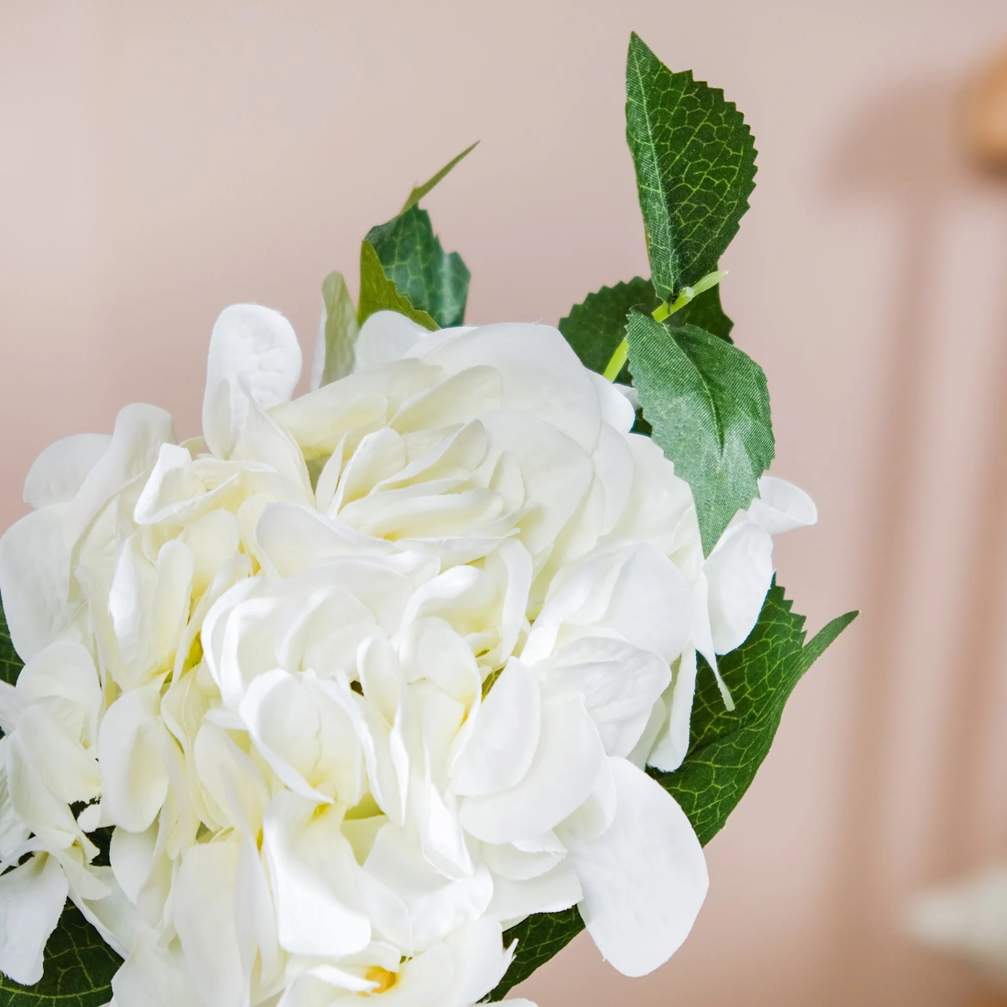Hydrangea With Leaves White - Image 4