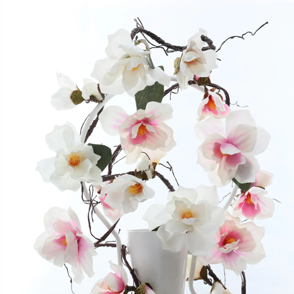 Magnolia Vine - Image 17