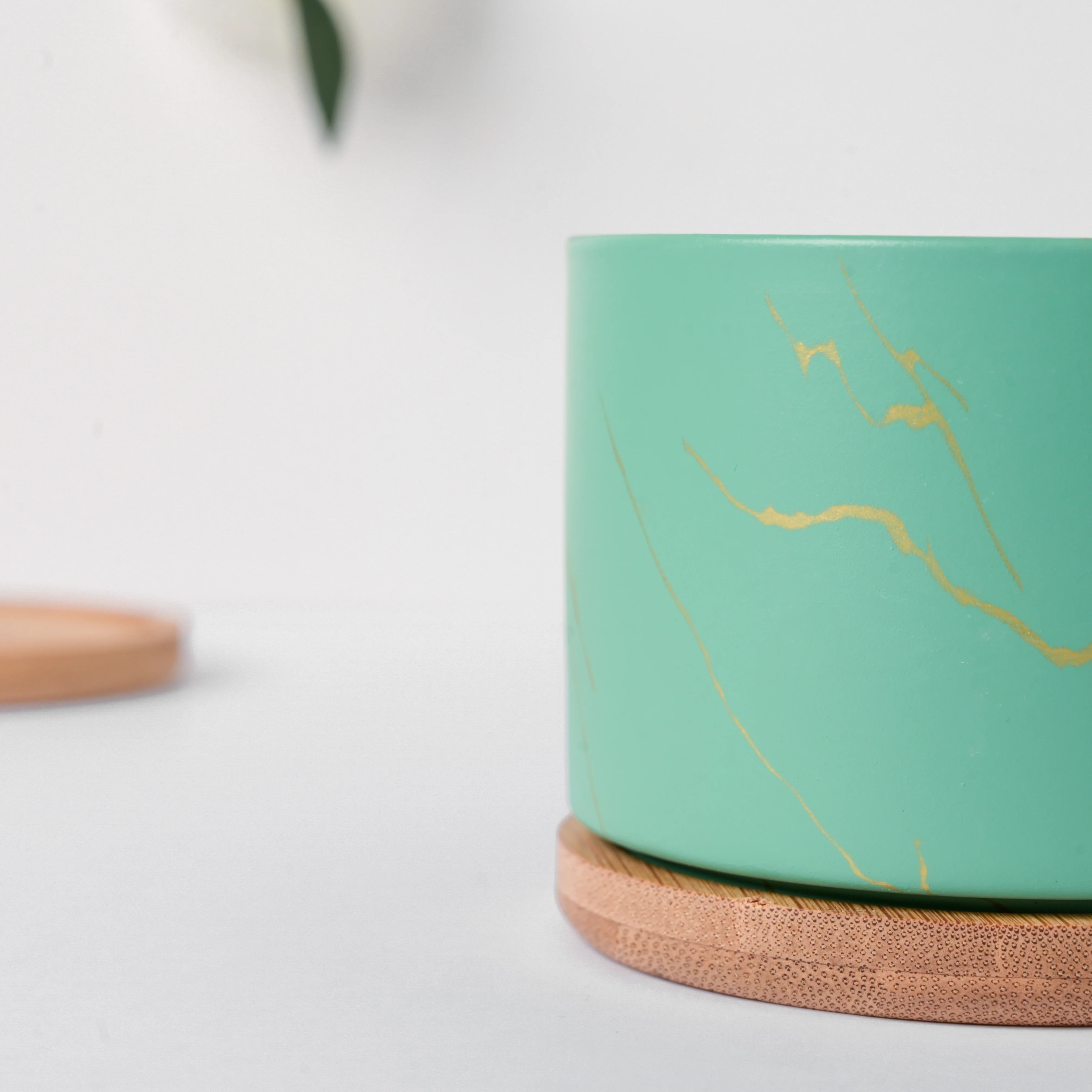 Maple Green Ceramic Planter With Coaster - Image 7