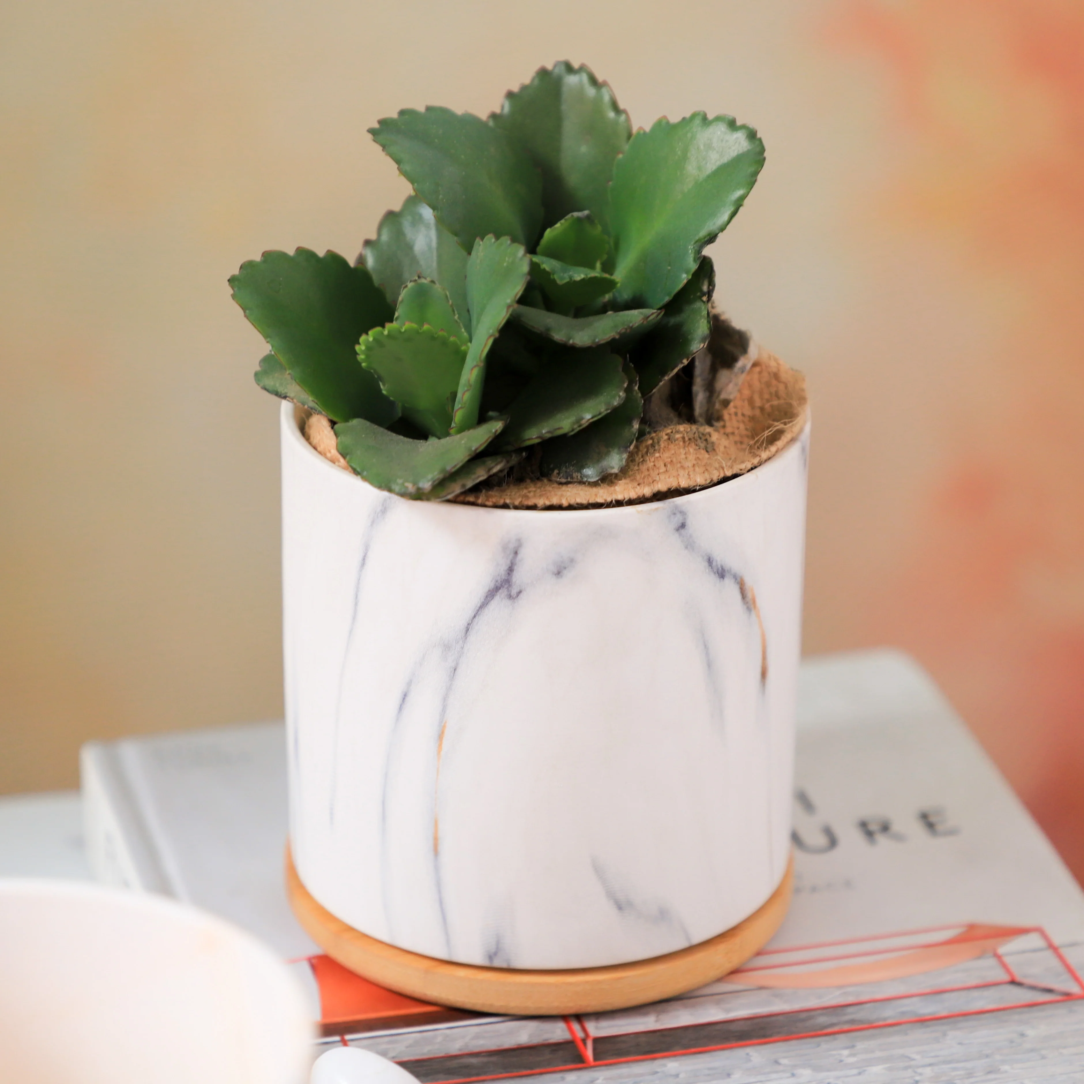 Marble Planter - Image 6