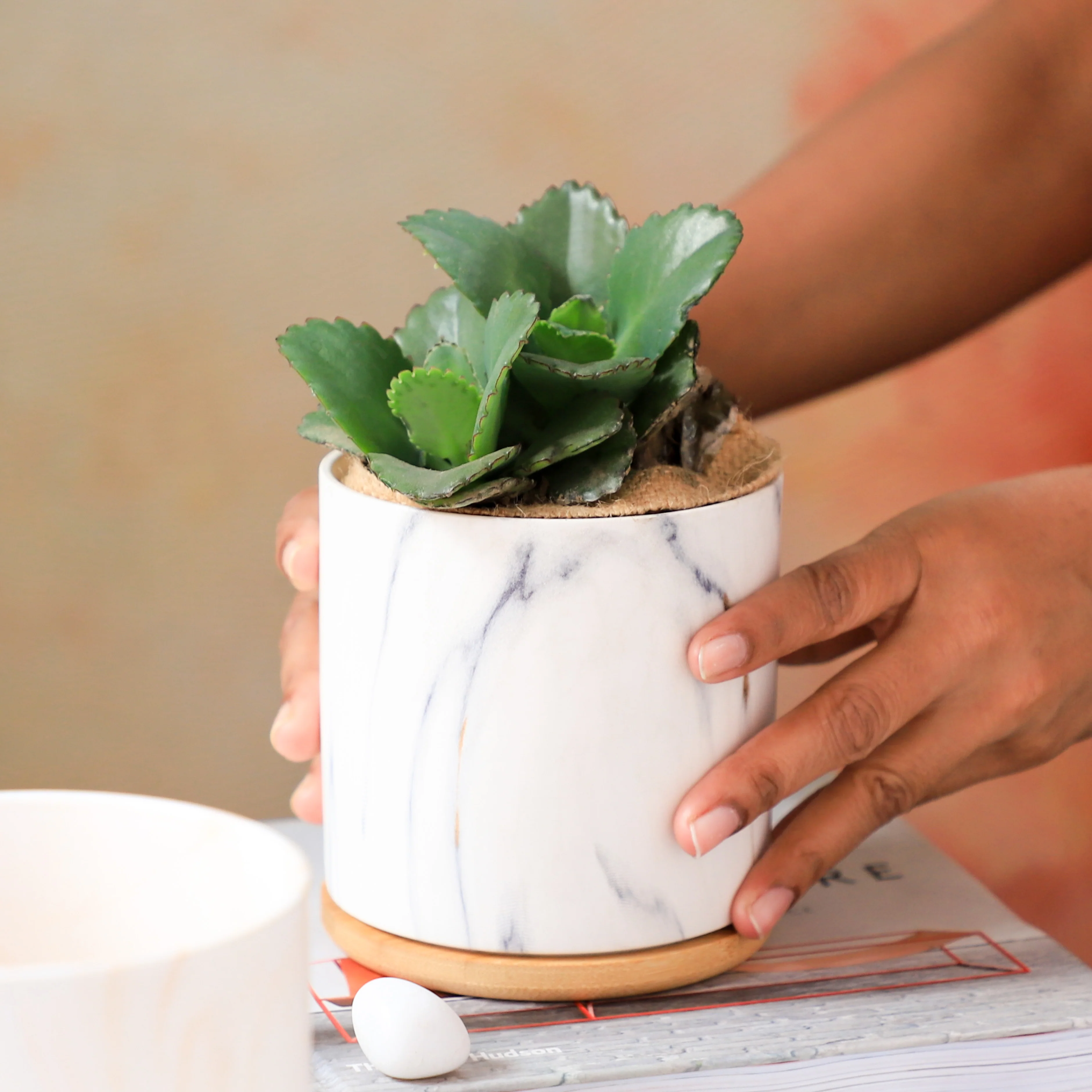 Marble Planter - Image 9