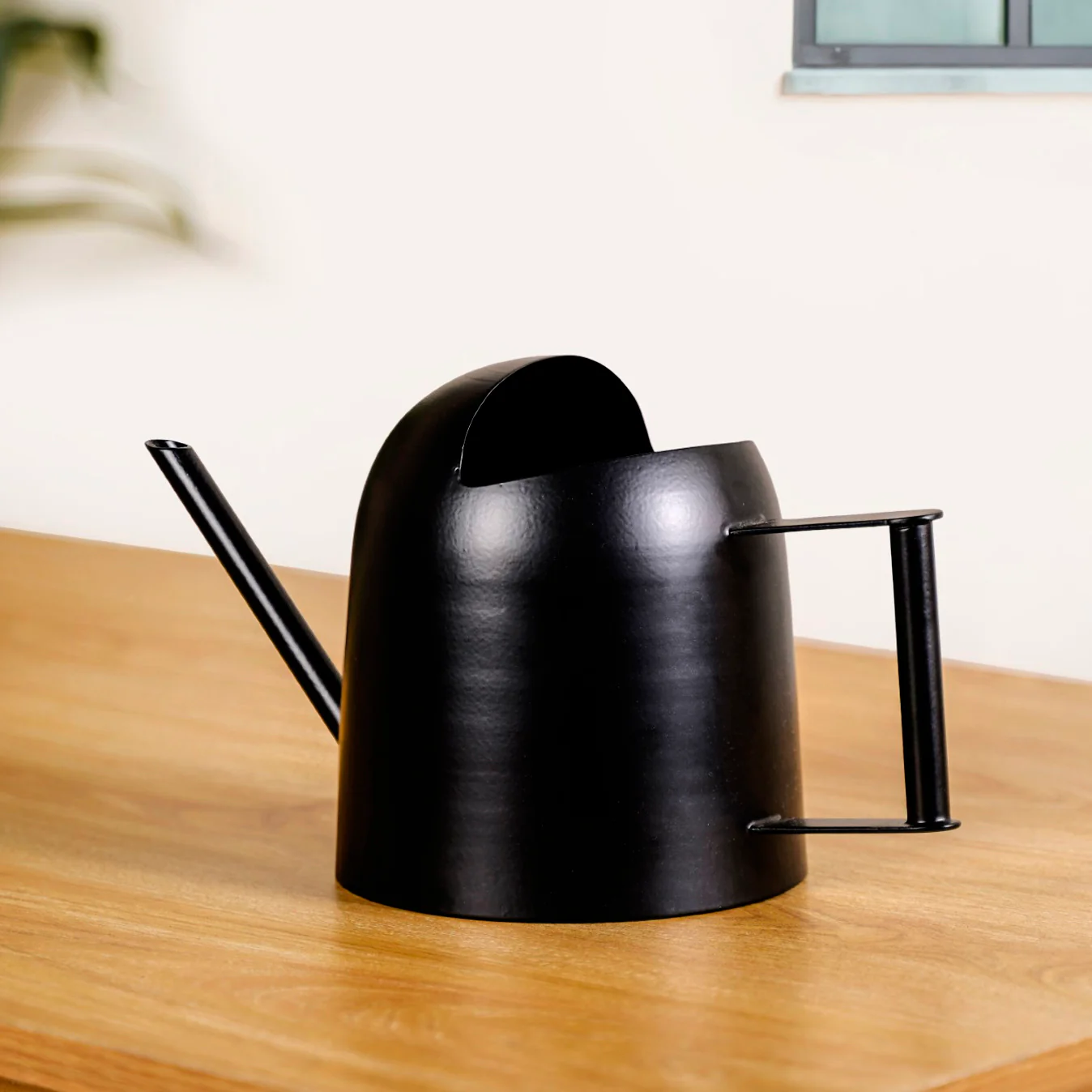 Matte Finish Metal Watering Can For Plants Black