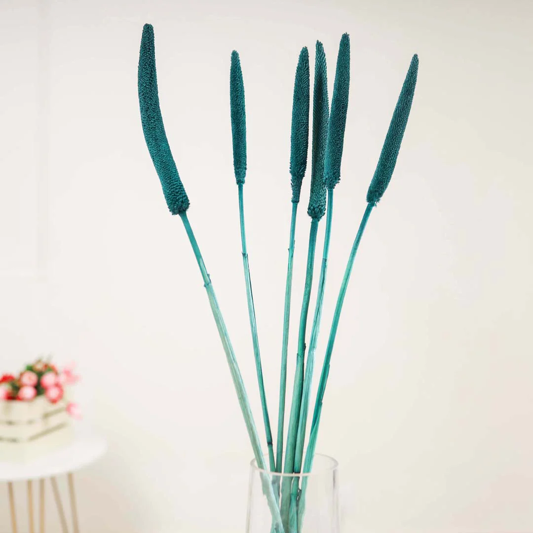 Millet Stem Green - Image 3