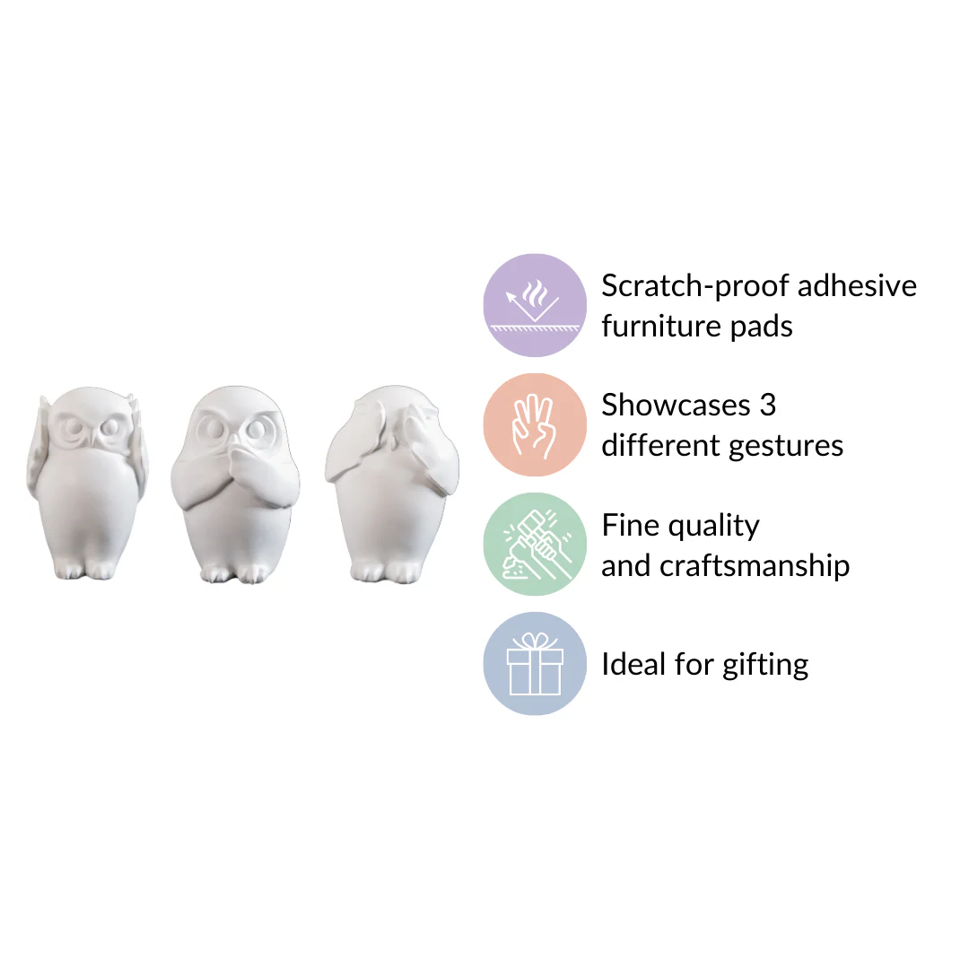 Minimalist Wise Owls Showpiece White Set Of 3 - Image 5