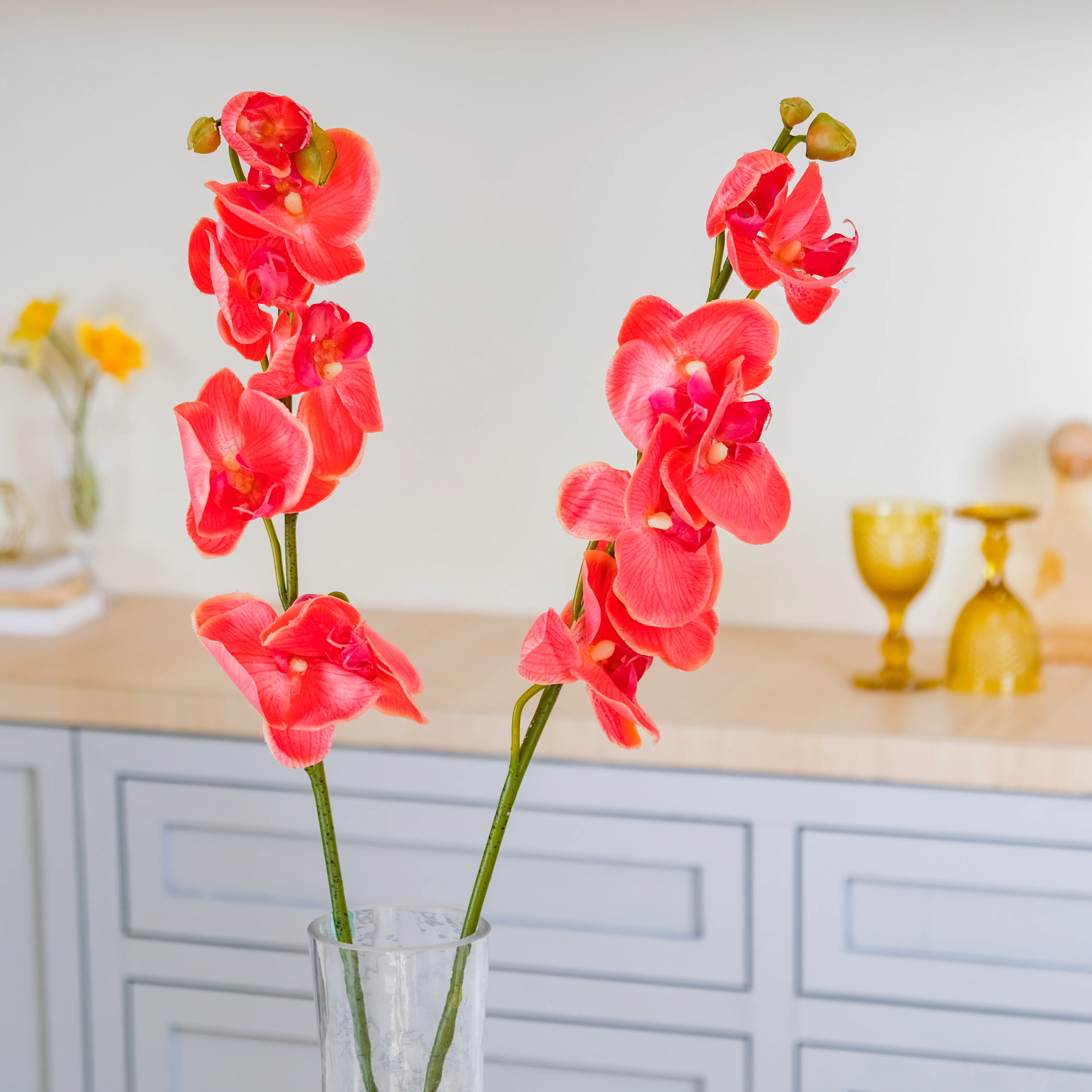 Moth Orchid Flower - Image 4